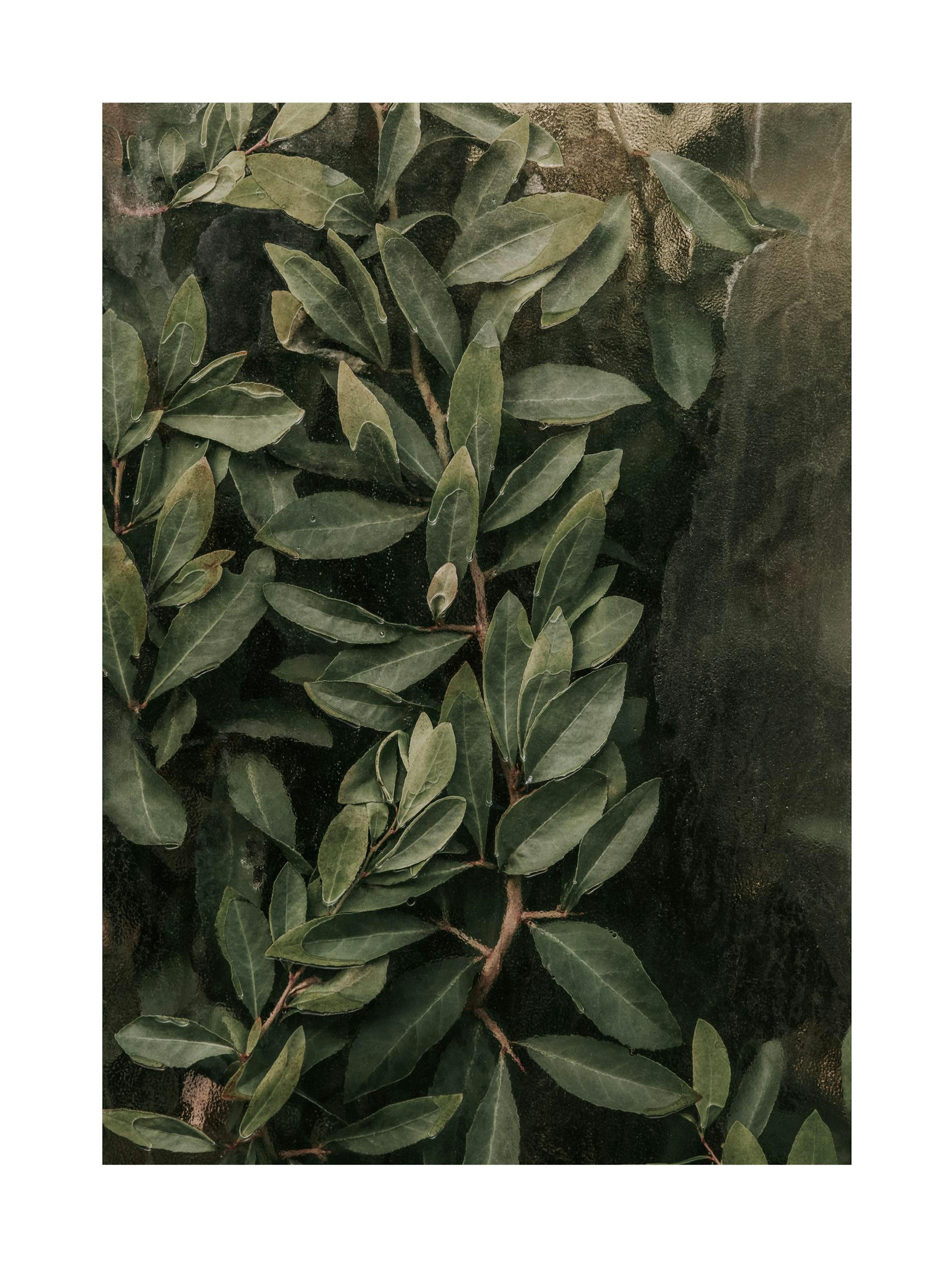 Product image: 1