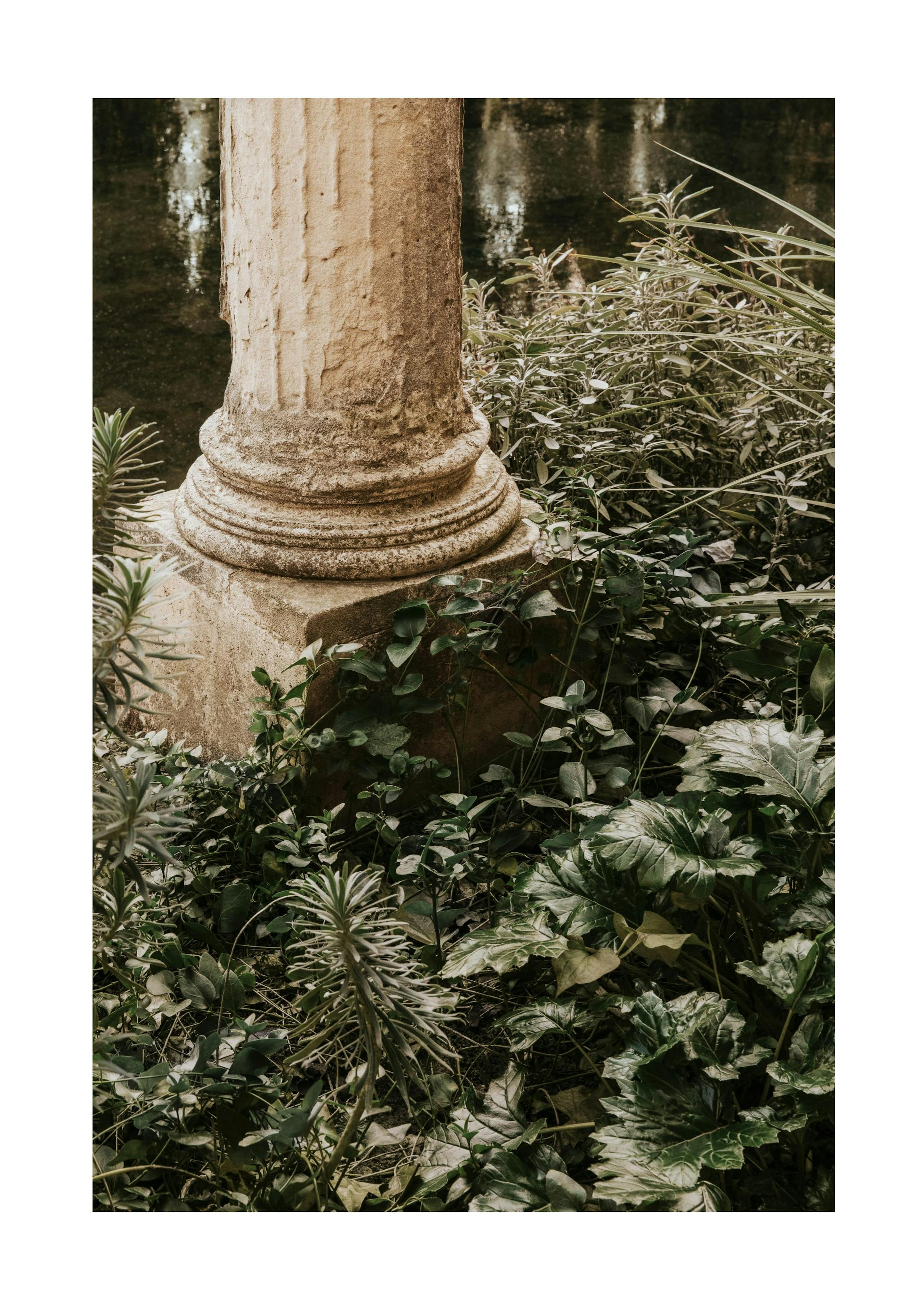 Botanical Podium Poster 0