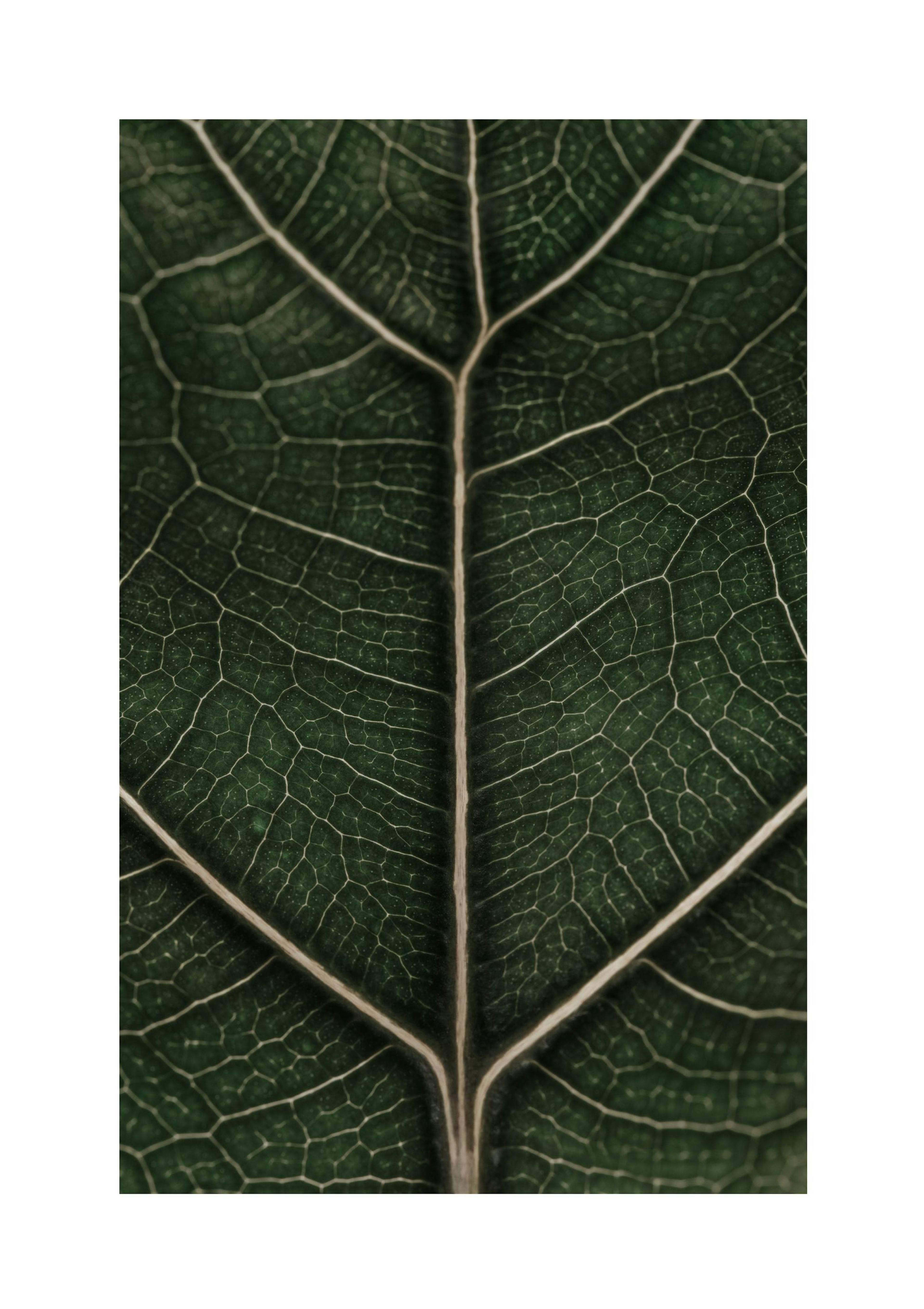 Product image: 1