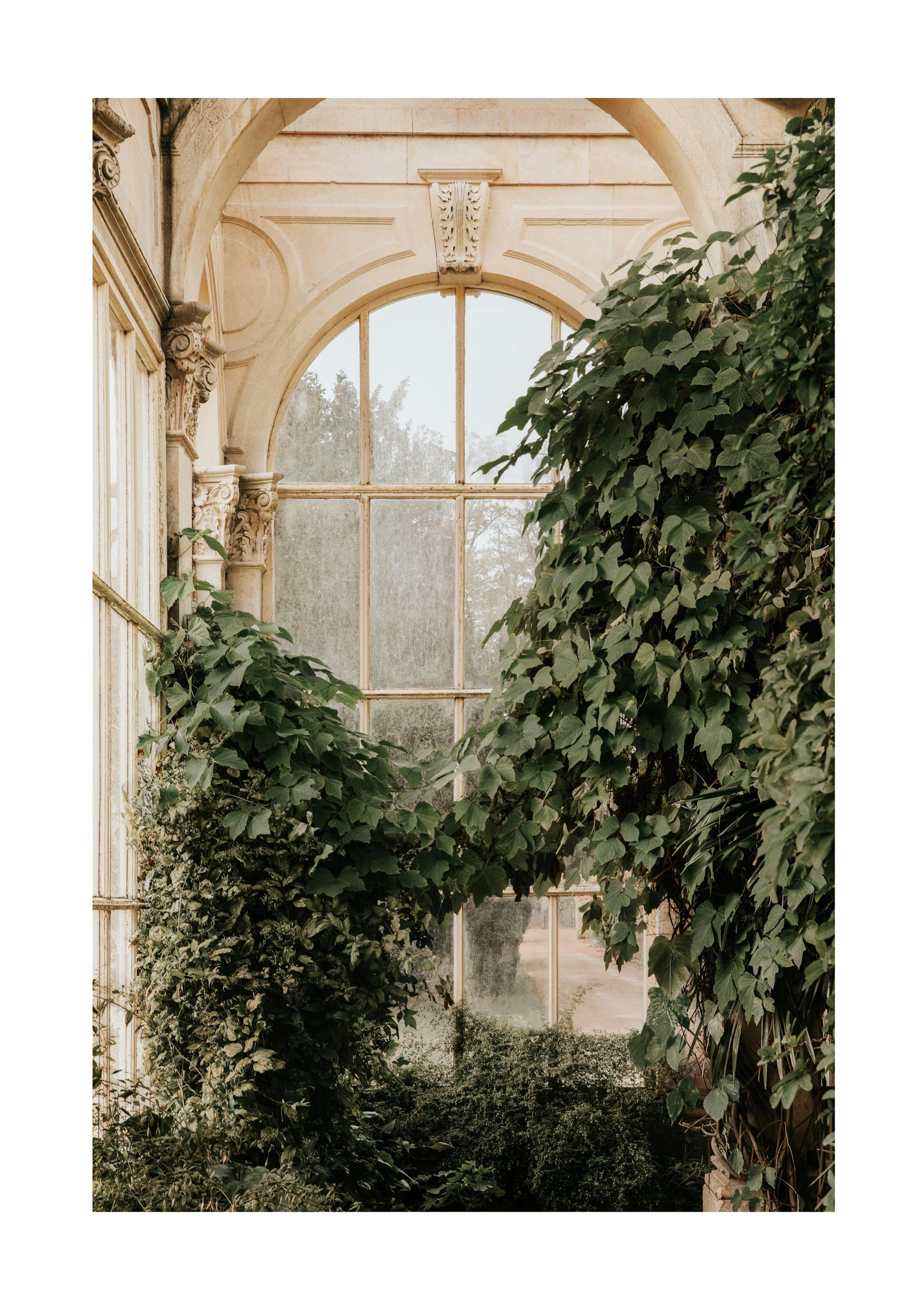 Inside Orangery PlagÃ¡t 0