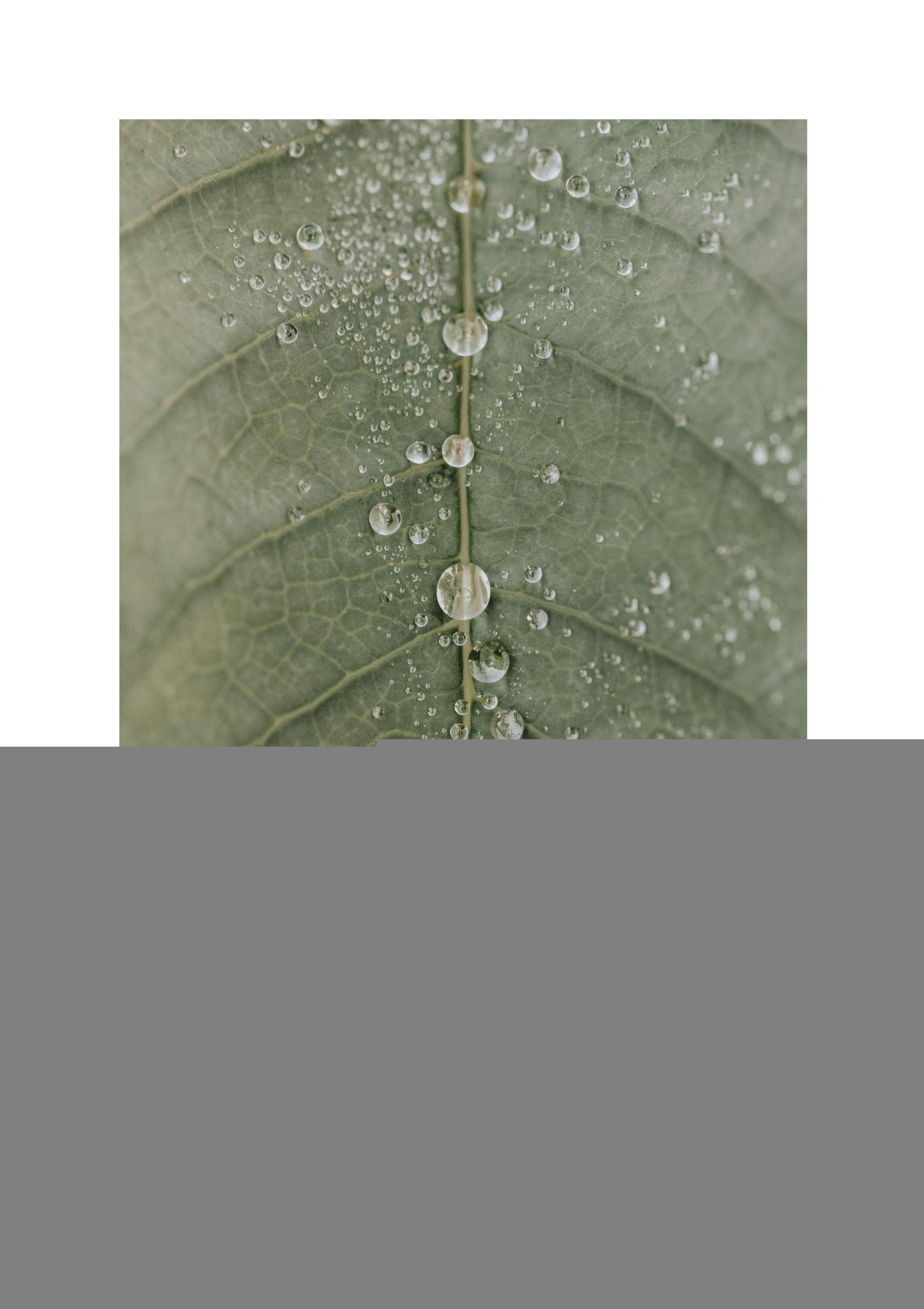 Product image: 1