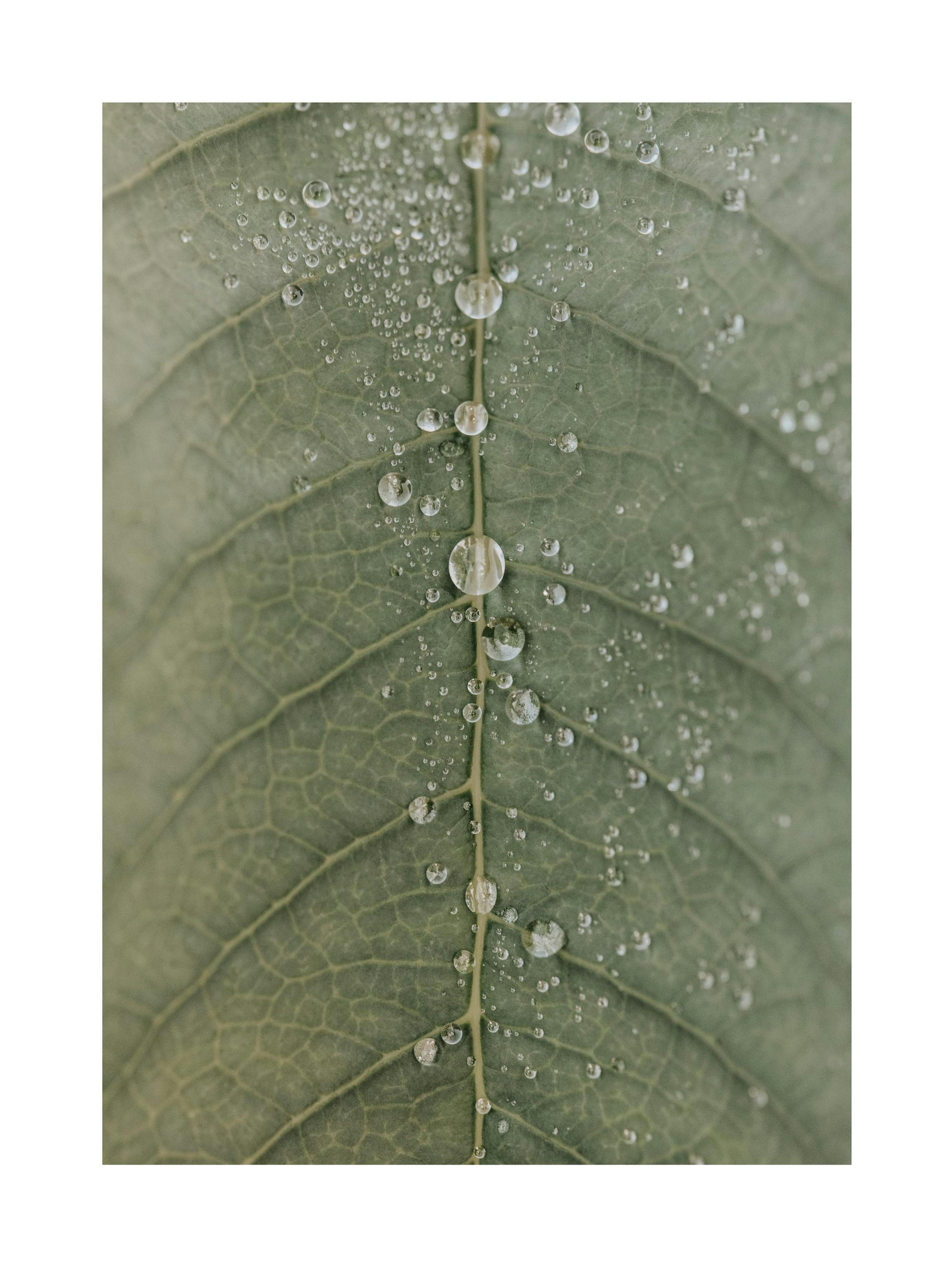 Product image: 1