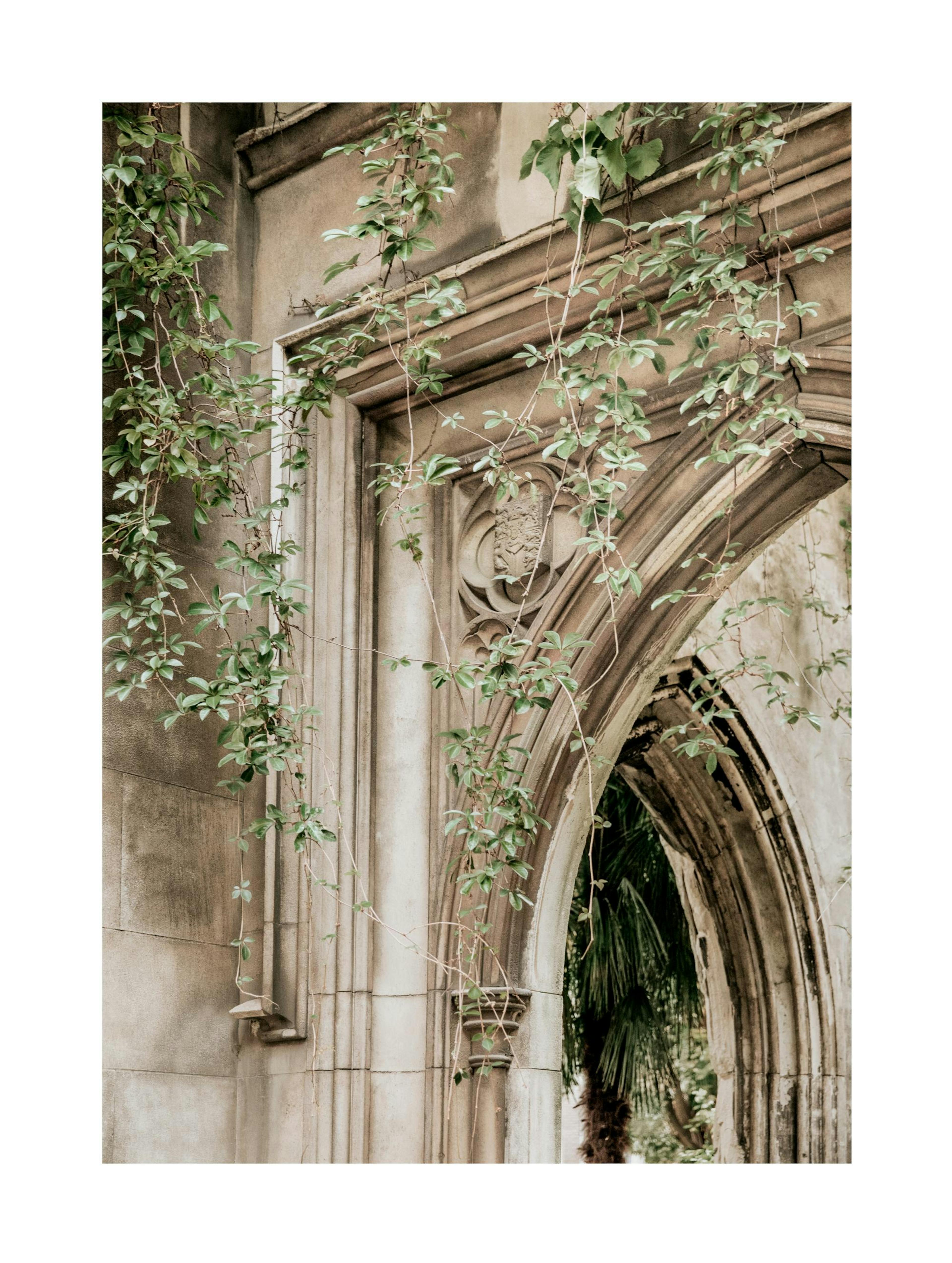 Arch On Arch Print