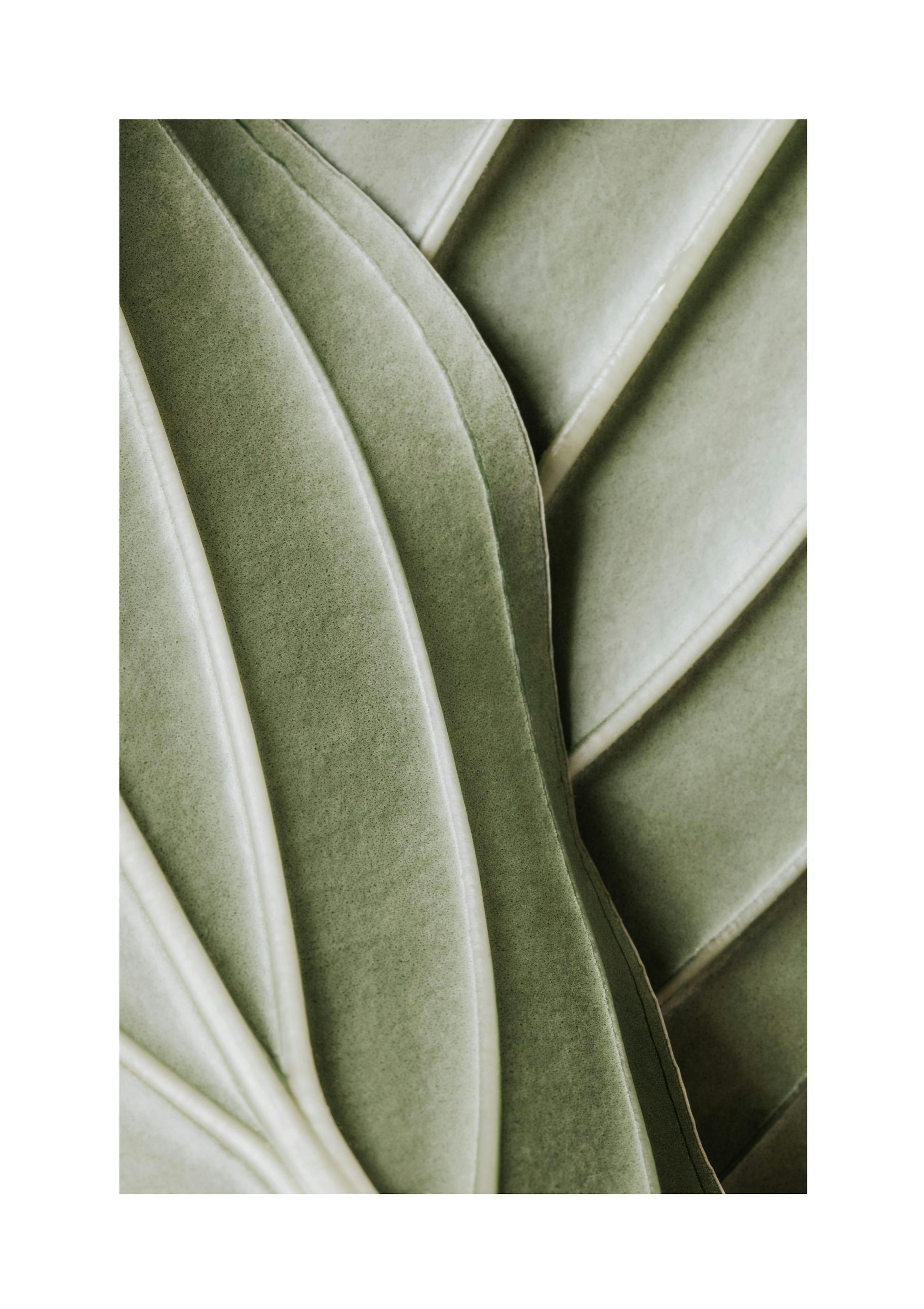 Organic Lines Print