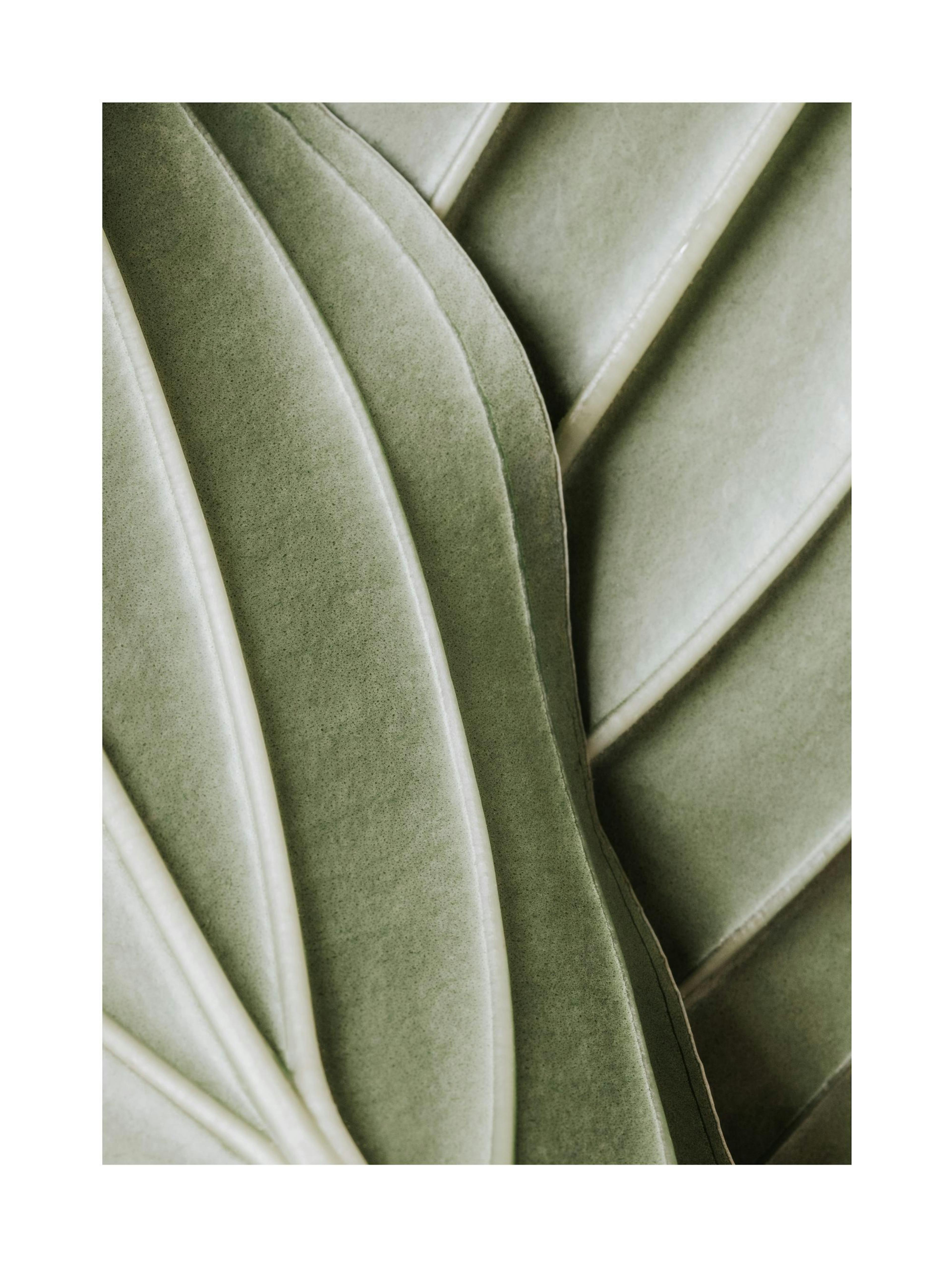 Organic Lines Poster 0