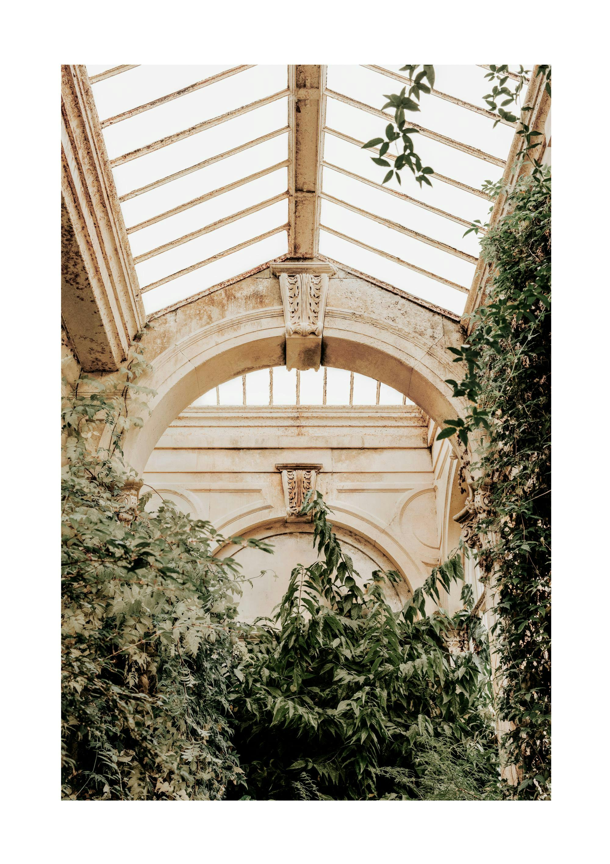 Elegant Ceiling Poster 0