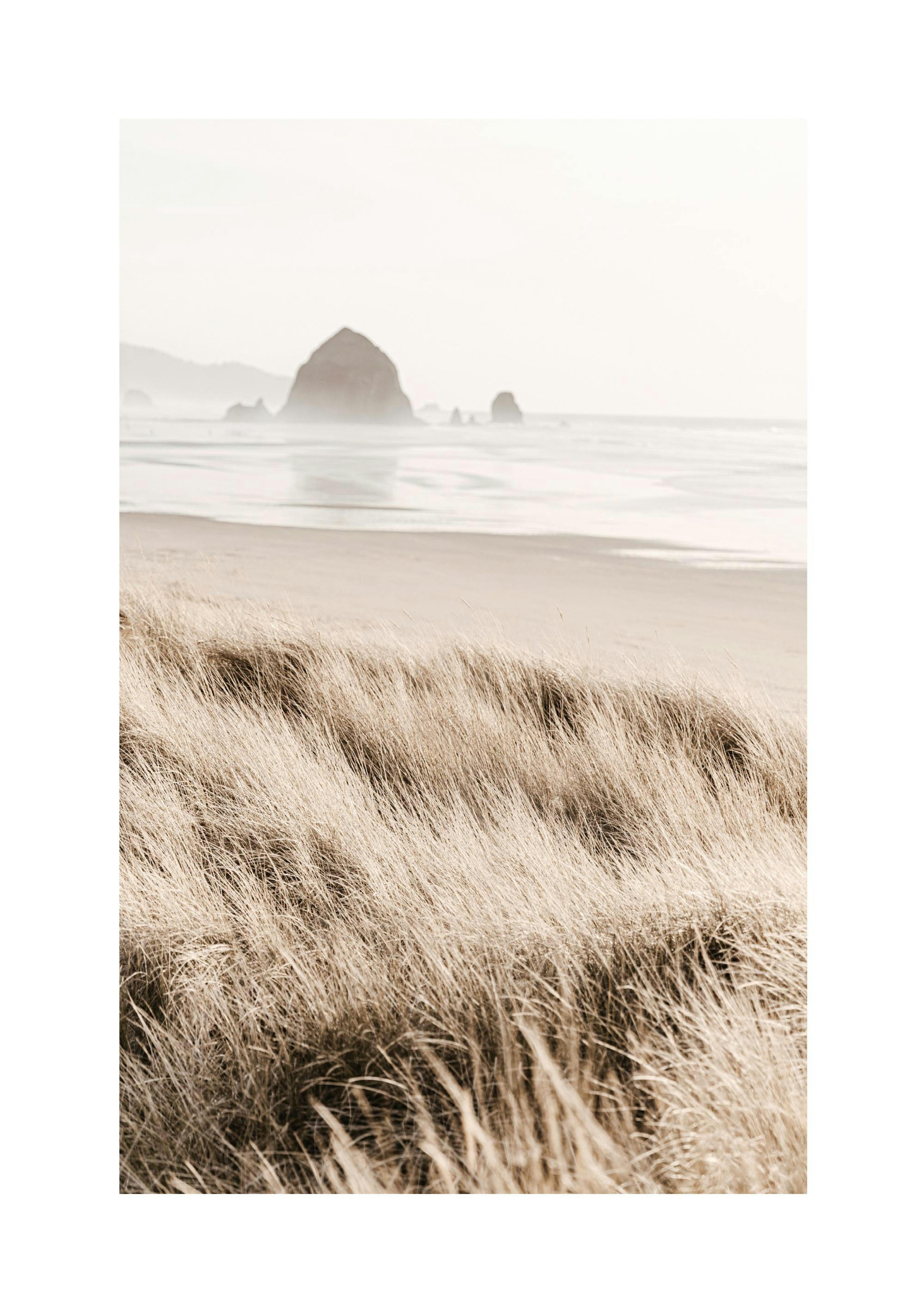Morning Beach Print
