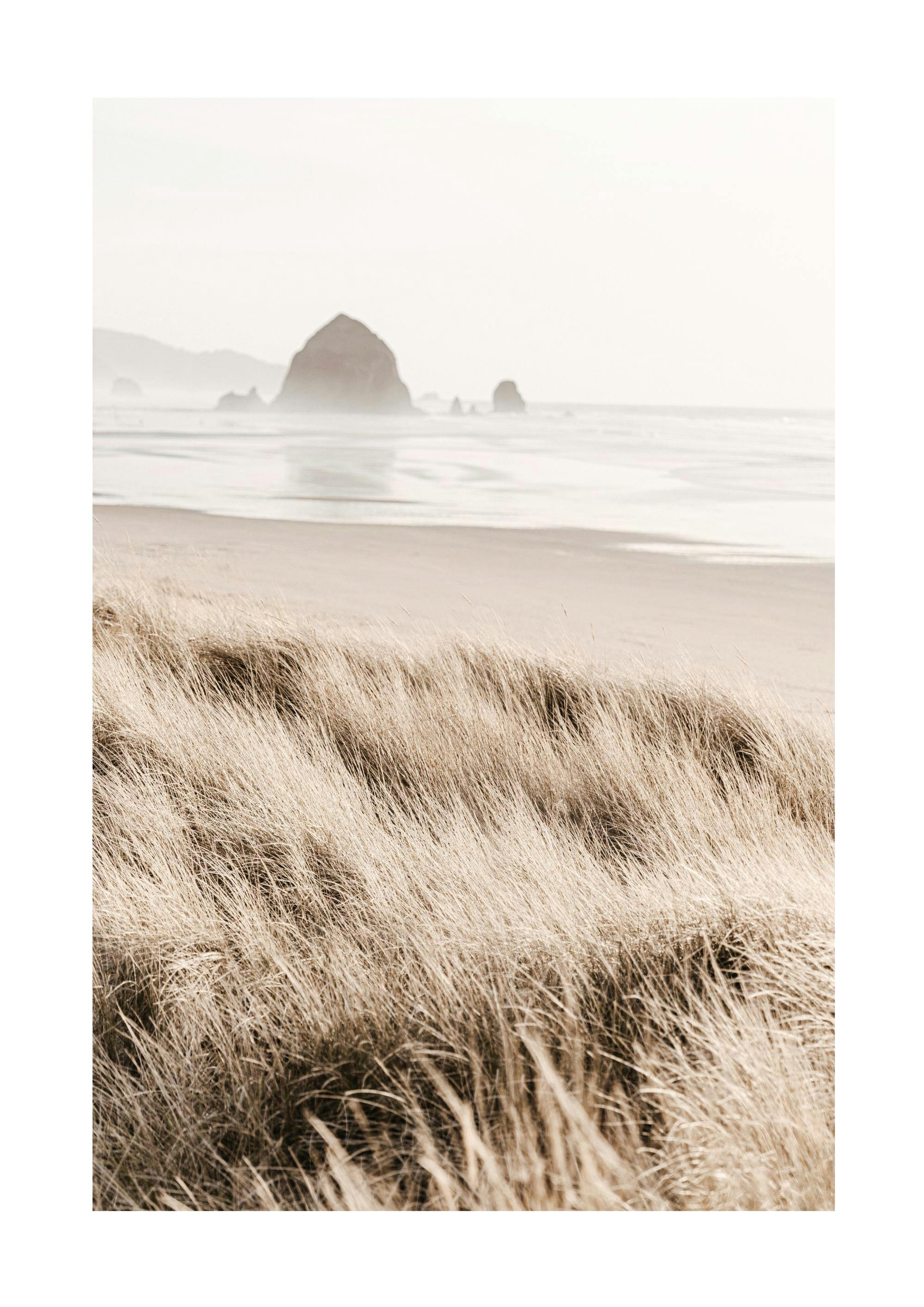 Morning Beach Affiche 0
