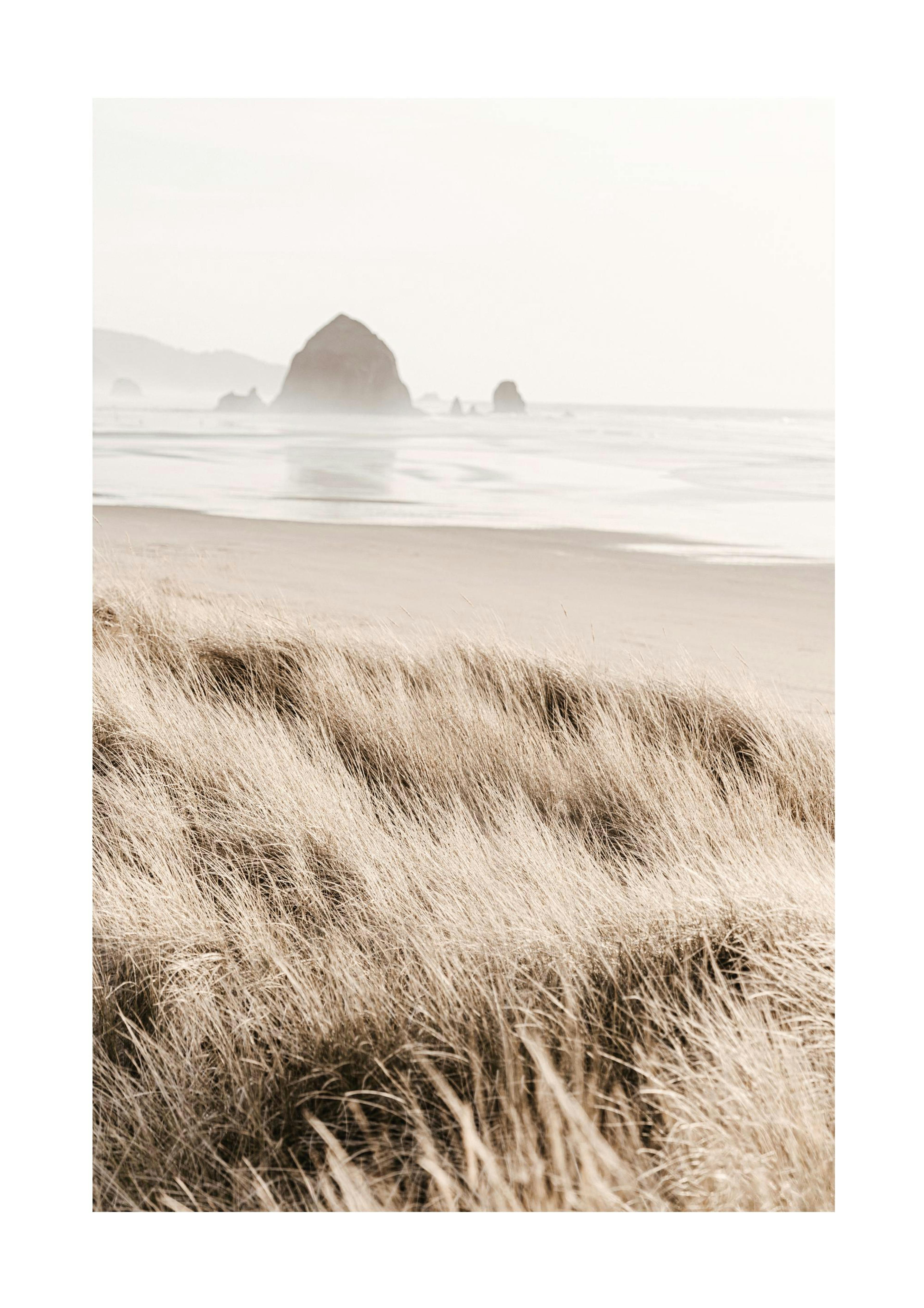 Morning Beach Poster 0