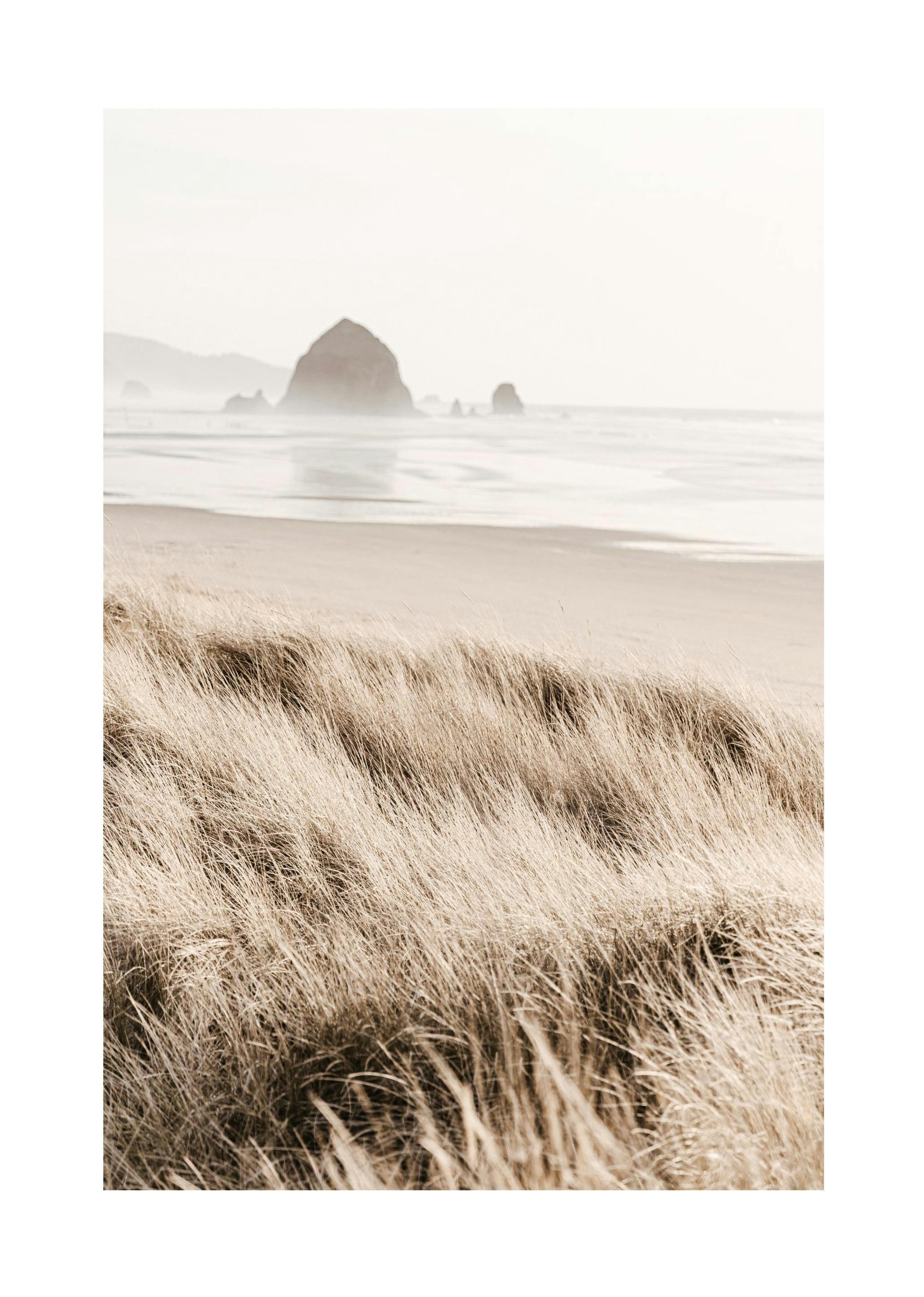 Morning Beach Poster (50x70 cm) -  Poster mit Strandmotiven