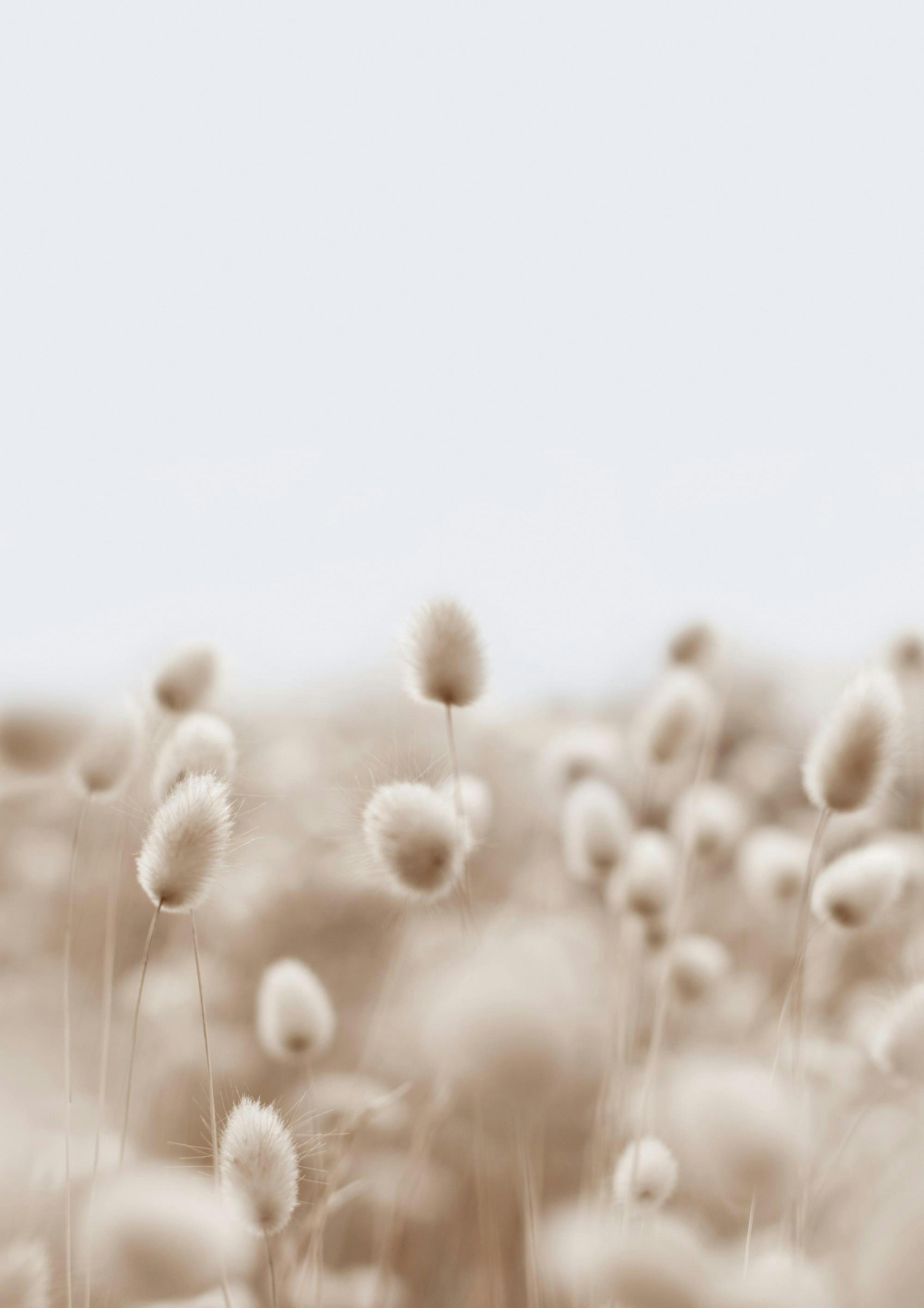 Soft Grass Print 0