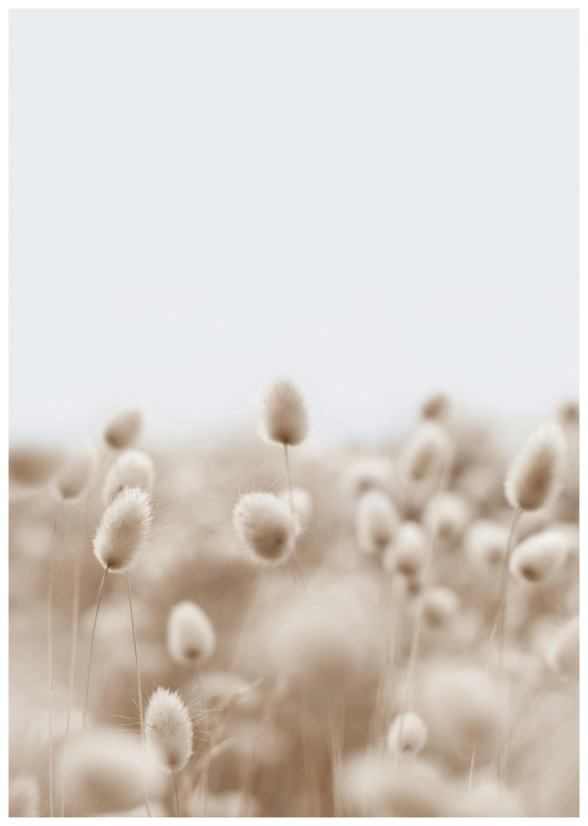 Soft Grass Poster (21x30 cm)