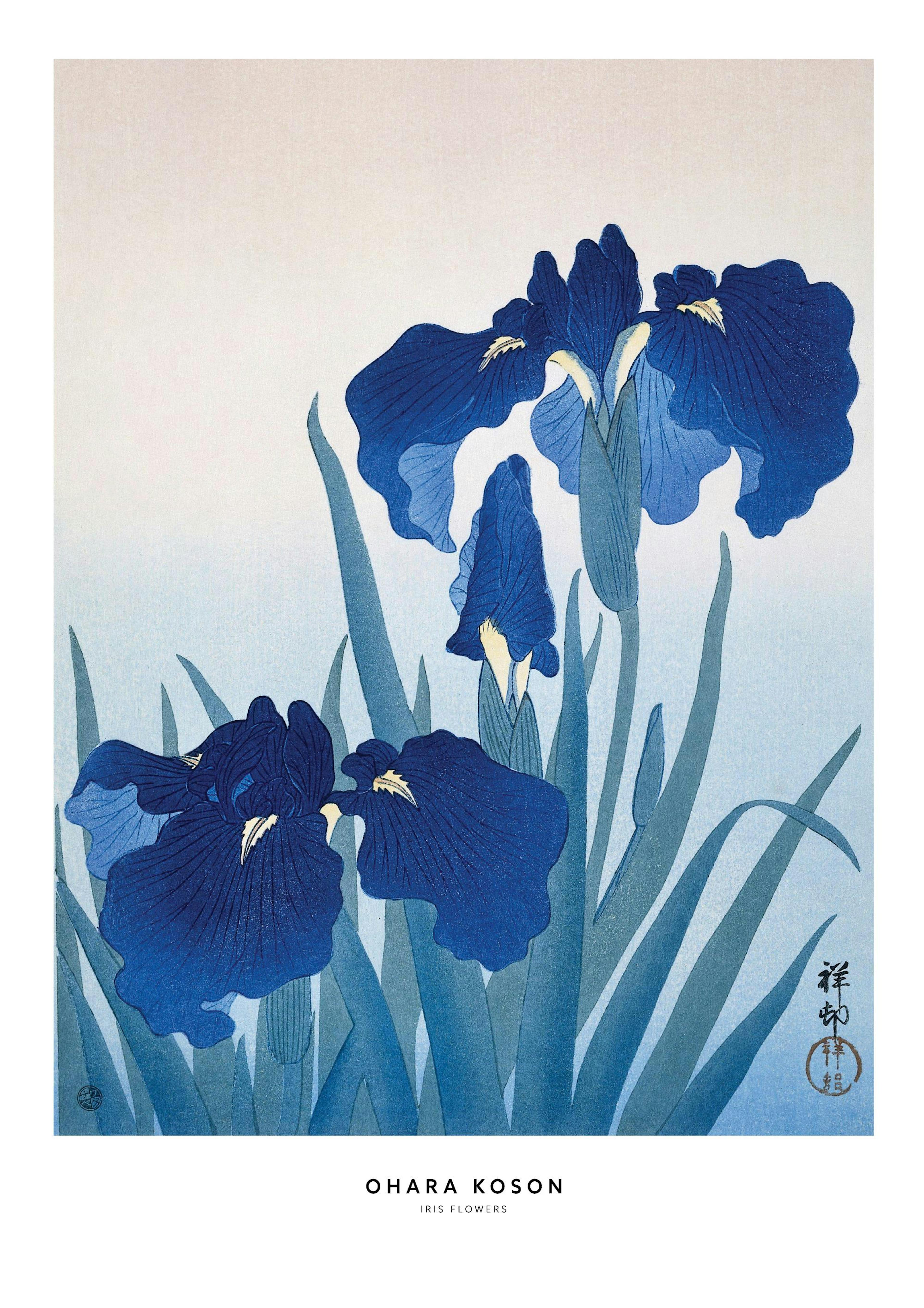 Ohara Koson - Iris Flowers Affiche 0