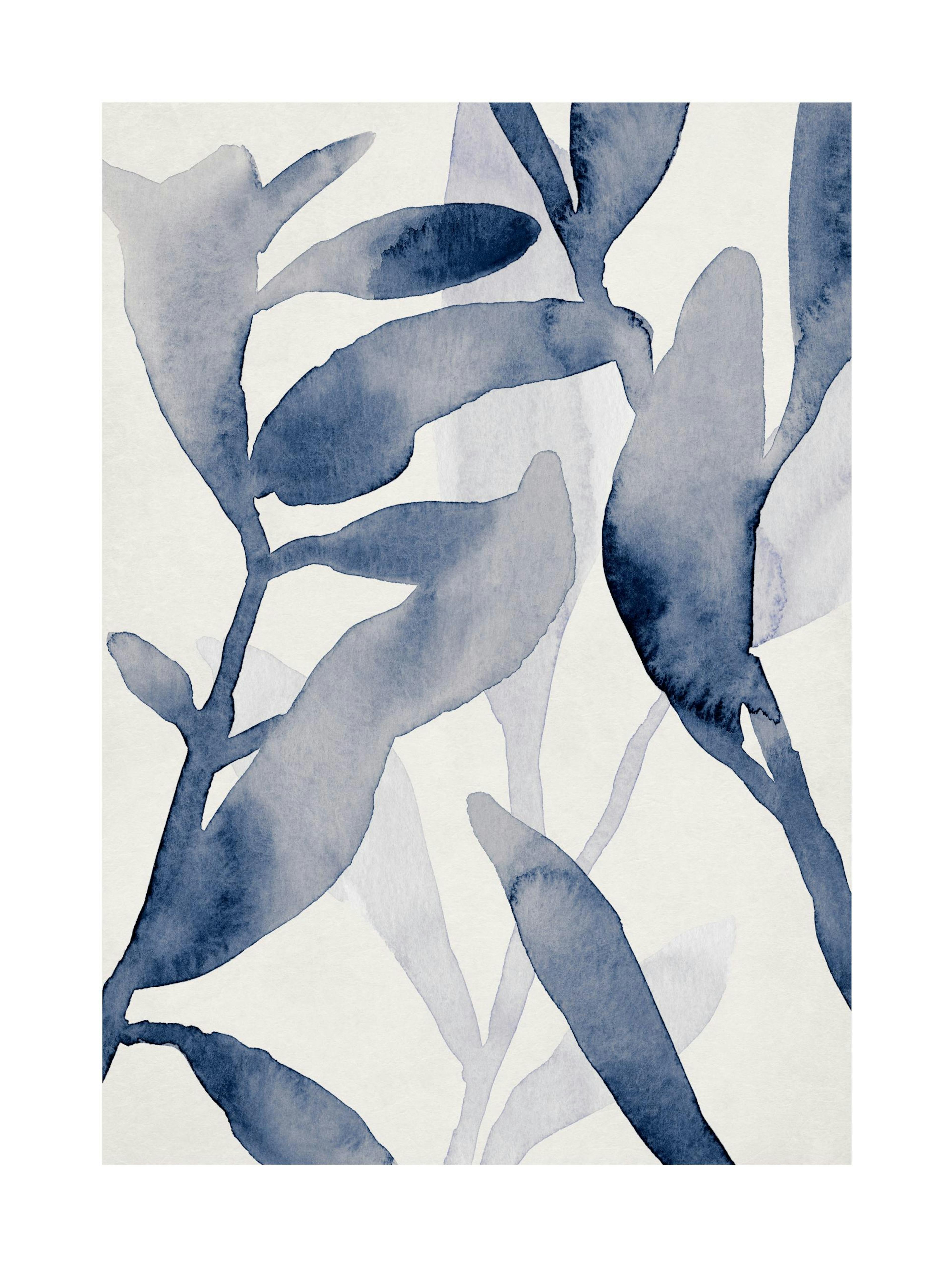 Aquatic Greenery No1 Poster 0