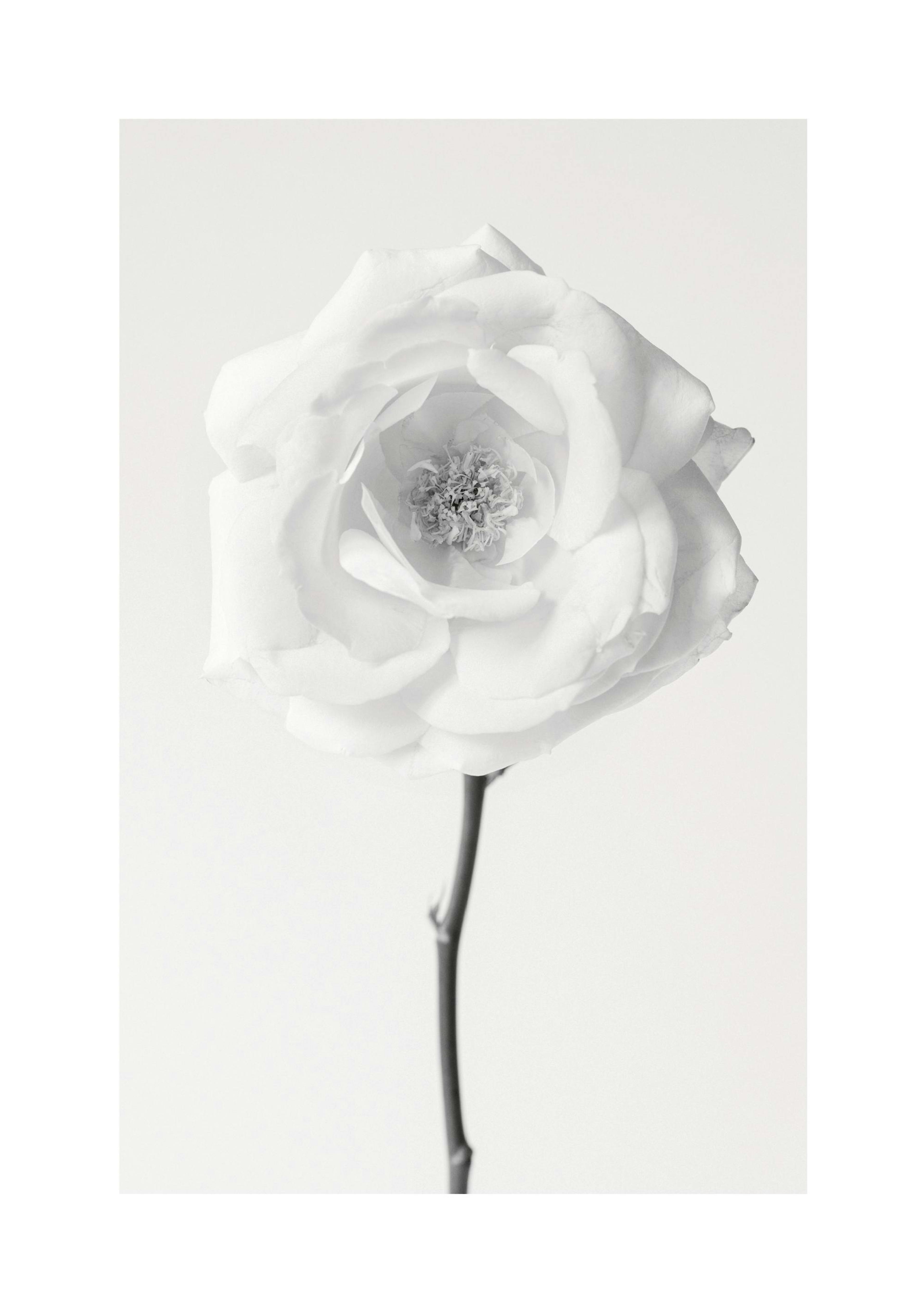 Product image: 1