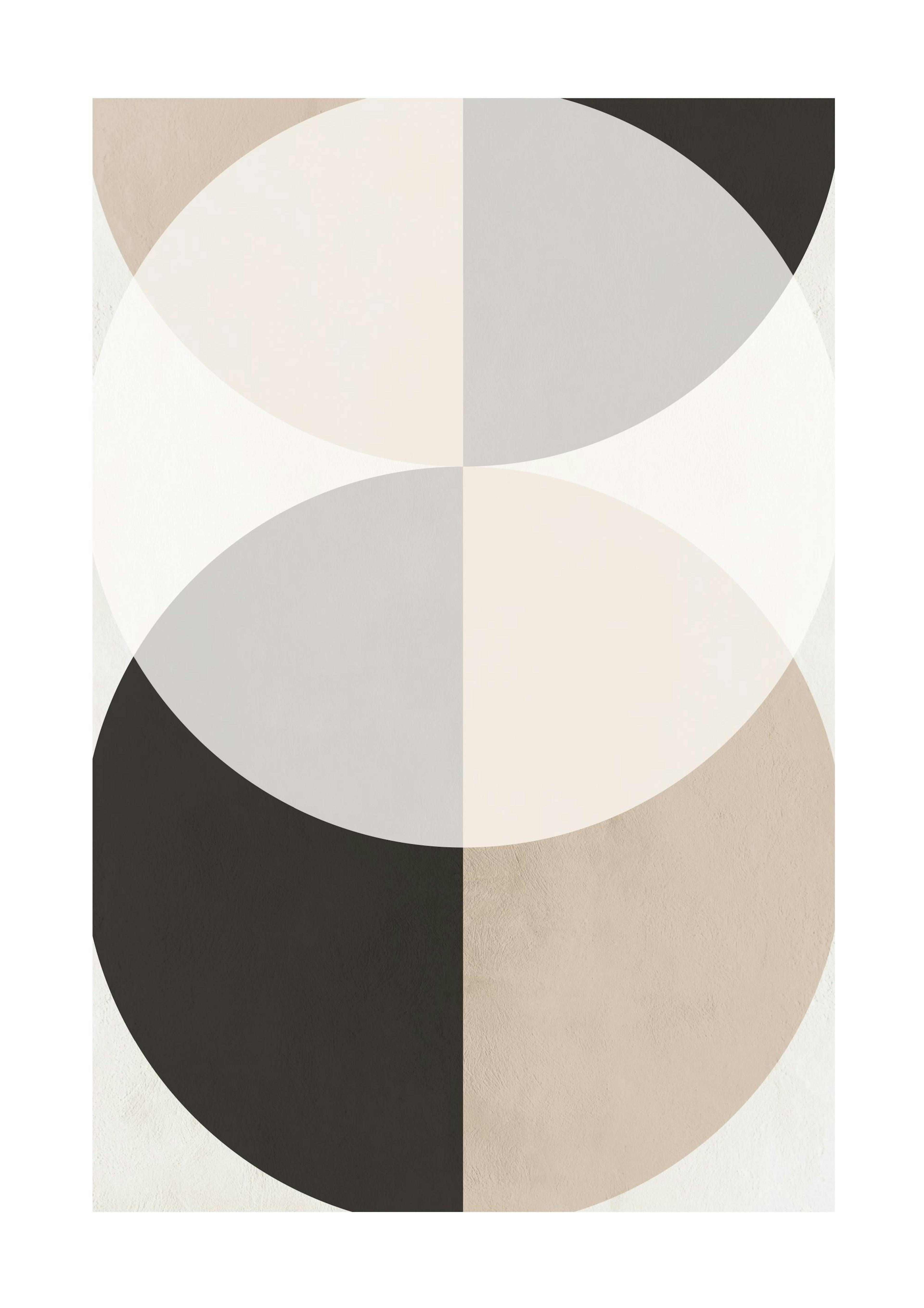 Rustic Circles Poster 0