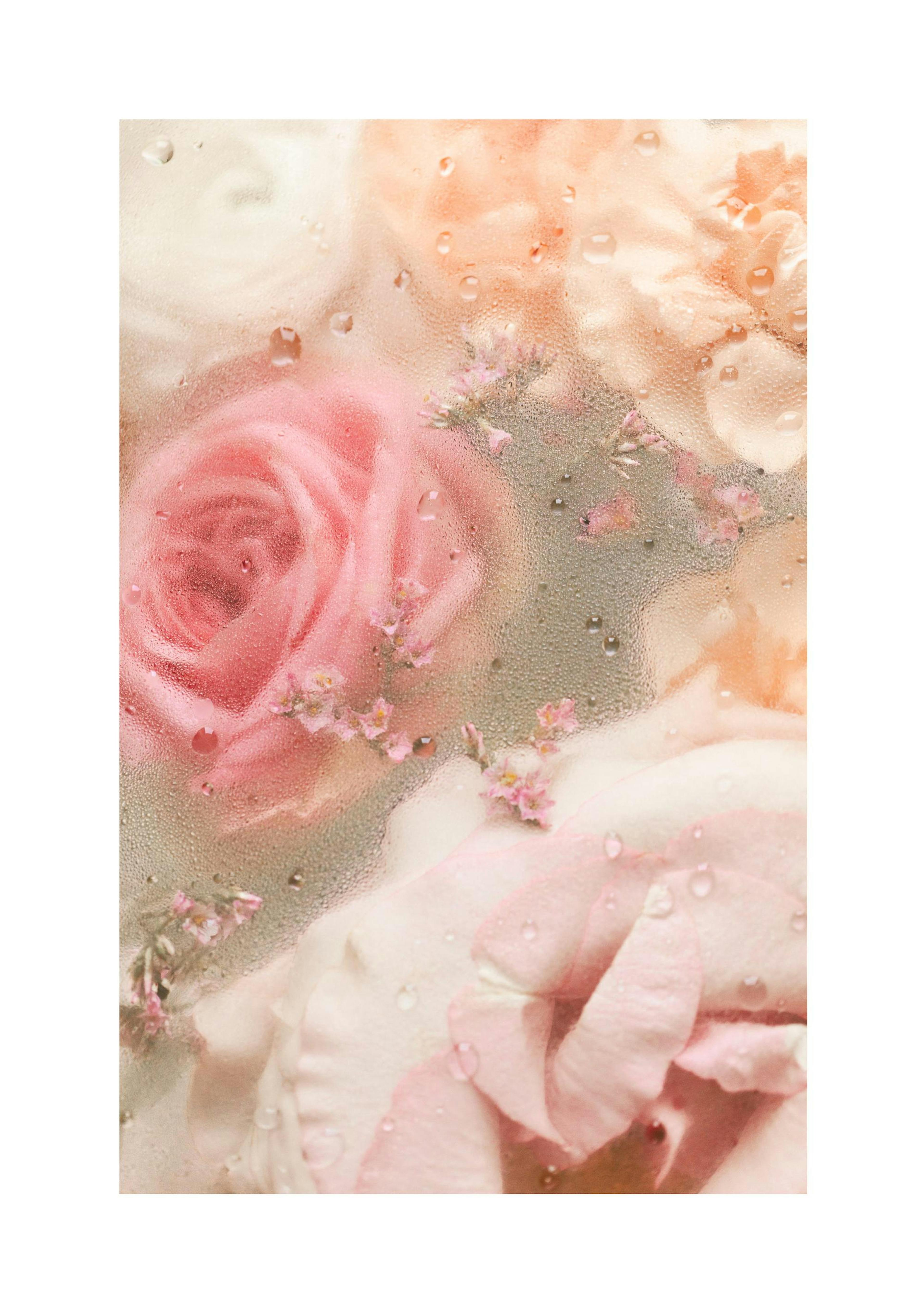 Product image: 1