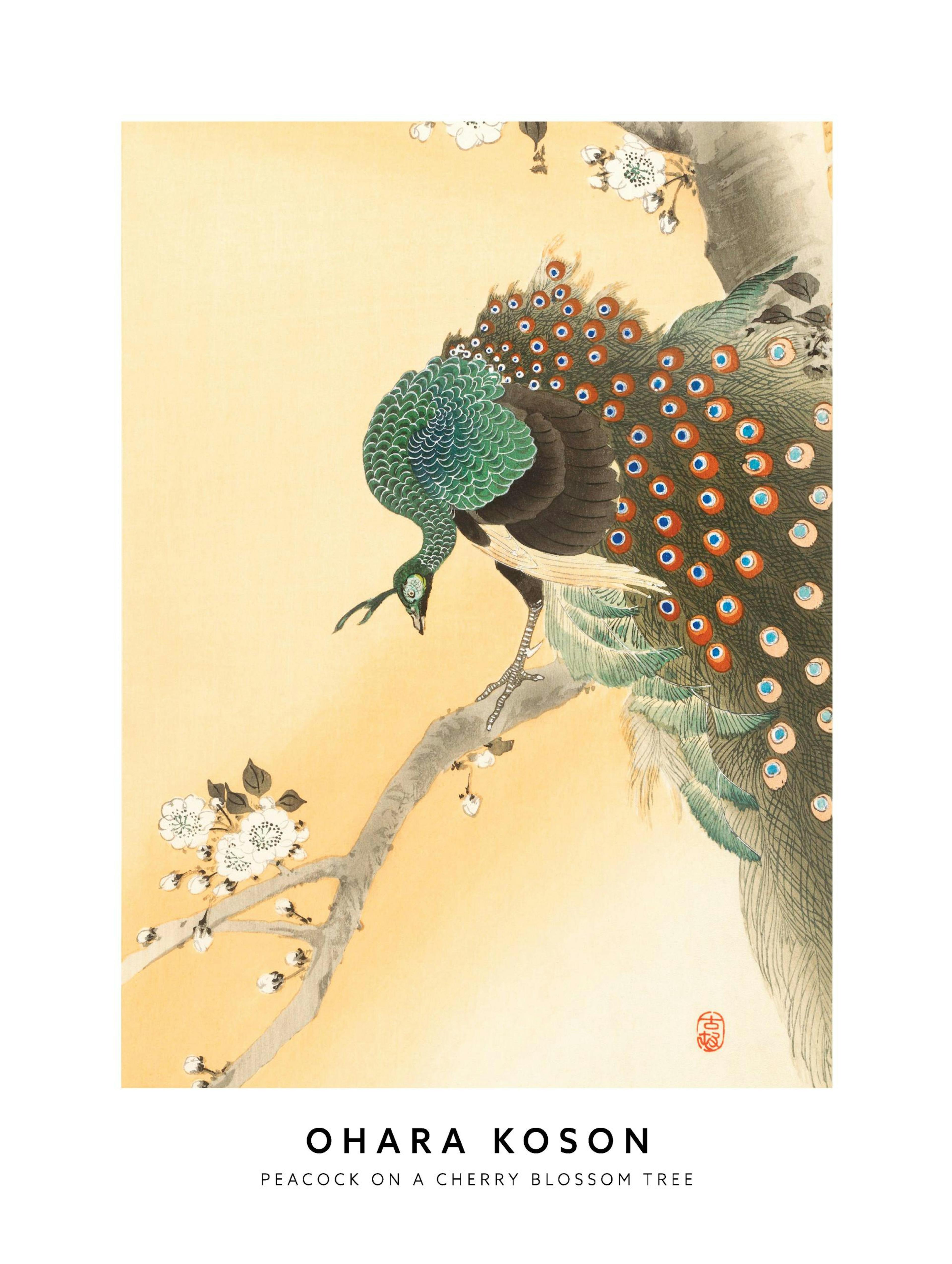 Ohara Koson - Peacock on a Cherry Blossom Tree Juliste