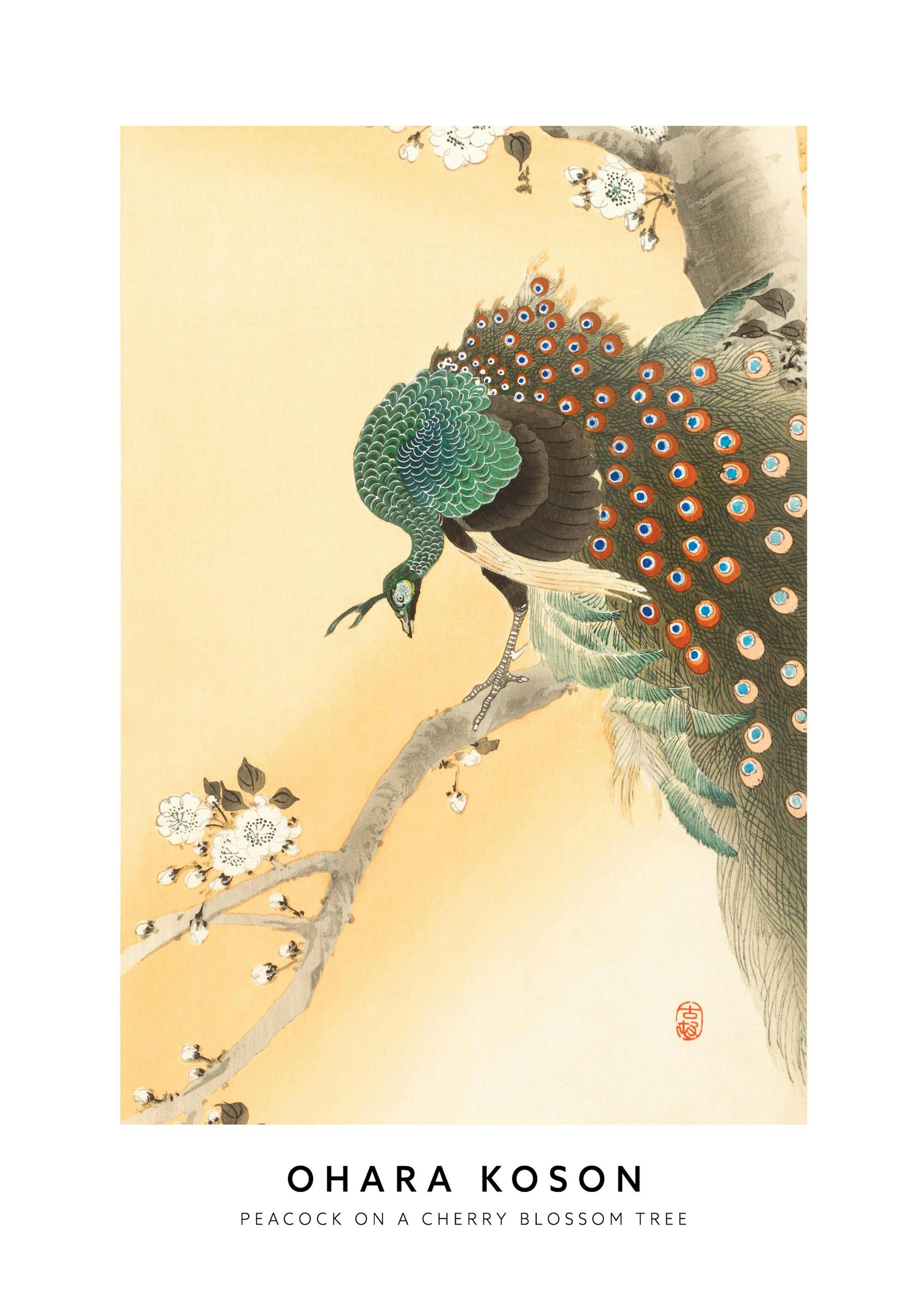 Ohara Koson - Peacock on a Cherry Blossom Tree Poster 0