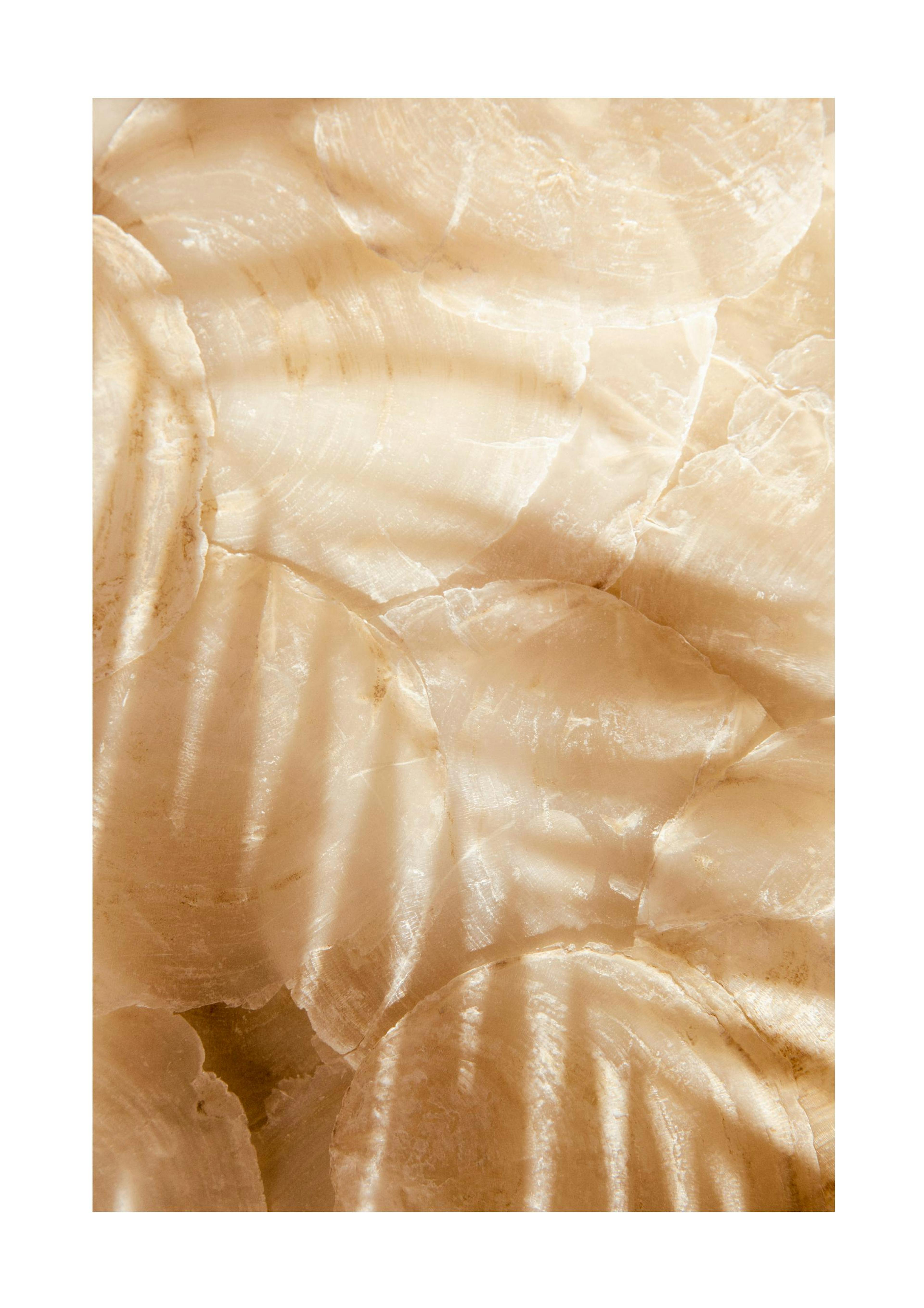 Palm Leaf Reflection Affiche 0