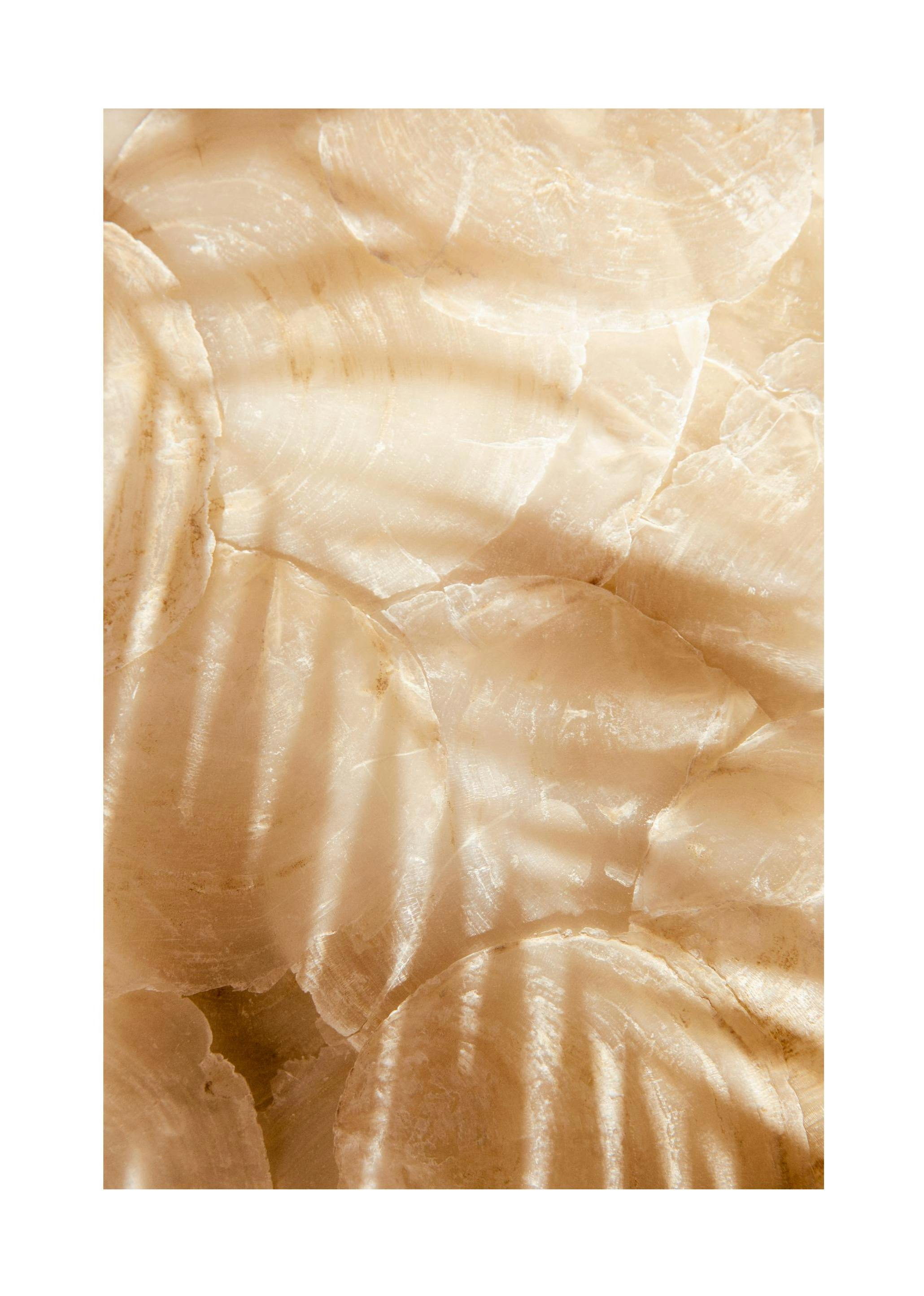Palm Leaf Reflection Poster (50x70 cm) -  Fotografien