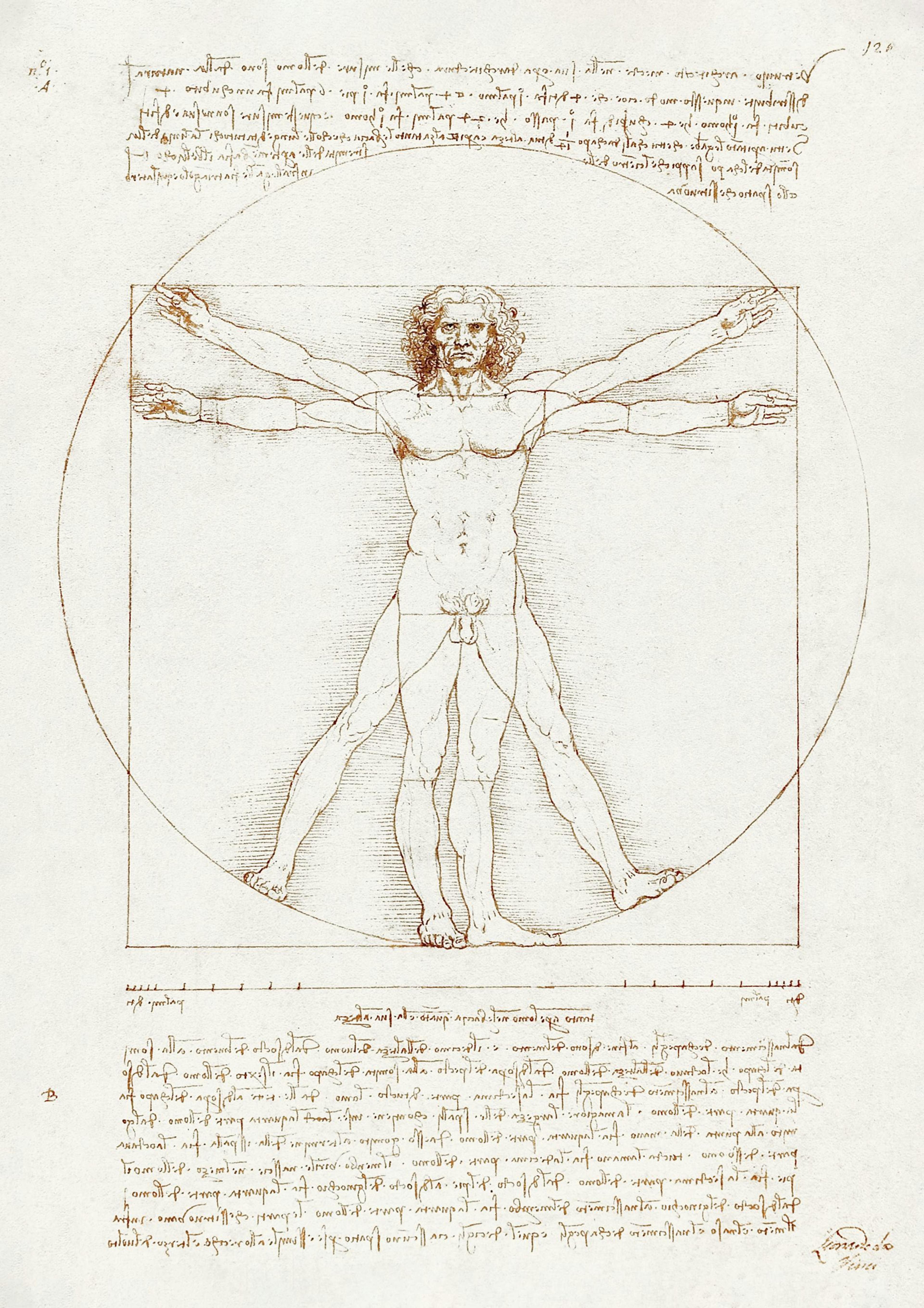 Leonardo Da Vinci - Vitruvian Man 포스터 0
