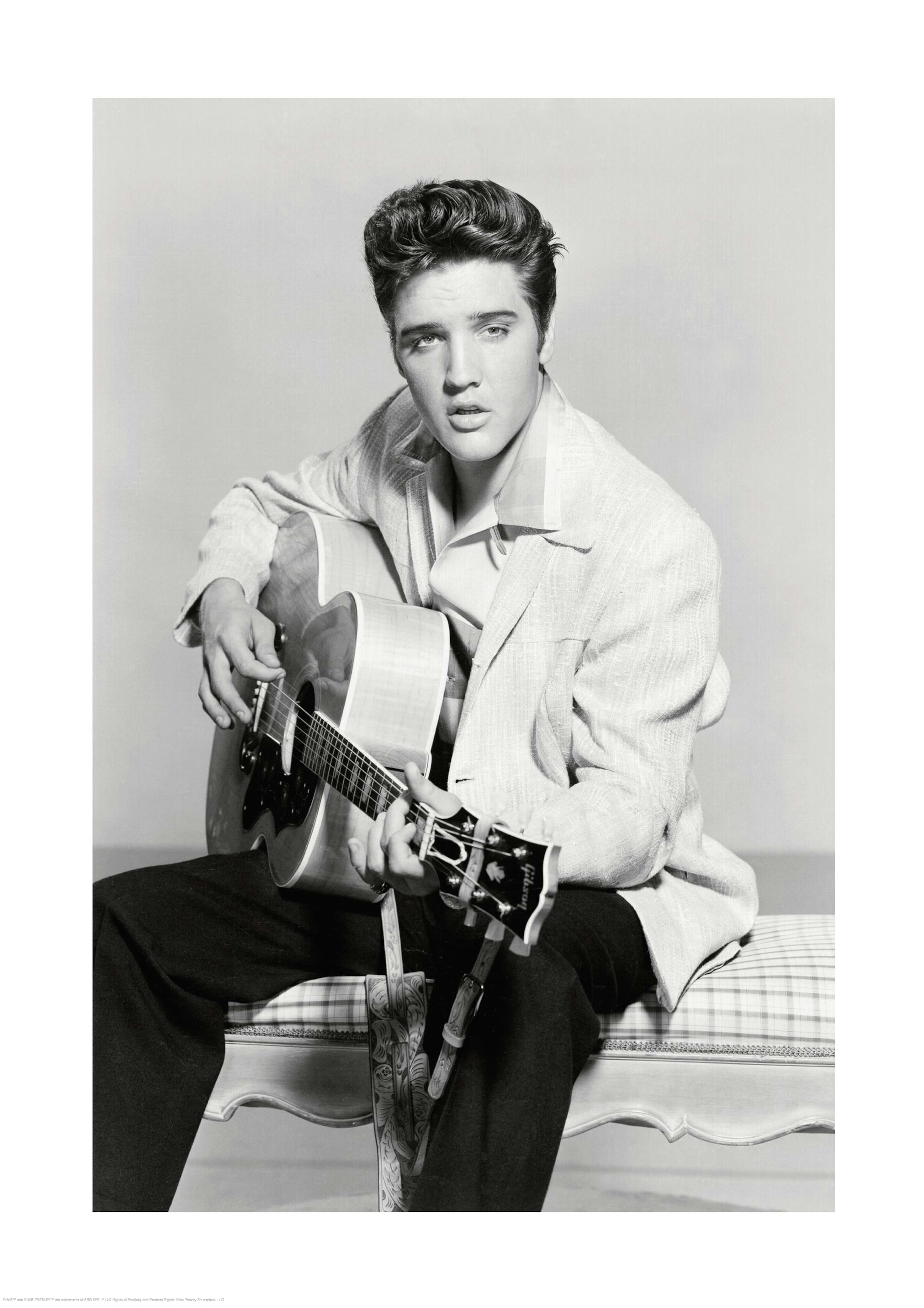 Elvis Presley Print 0