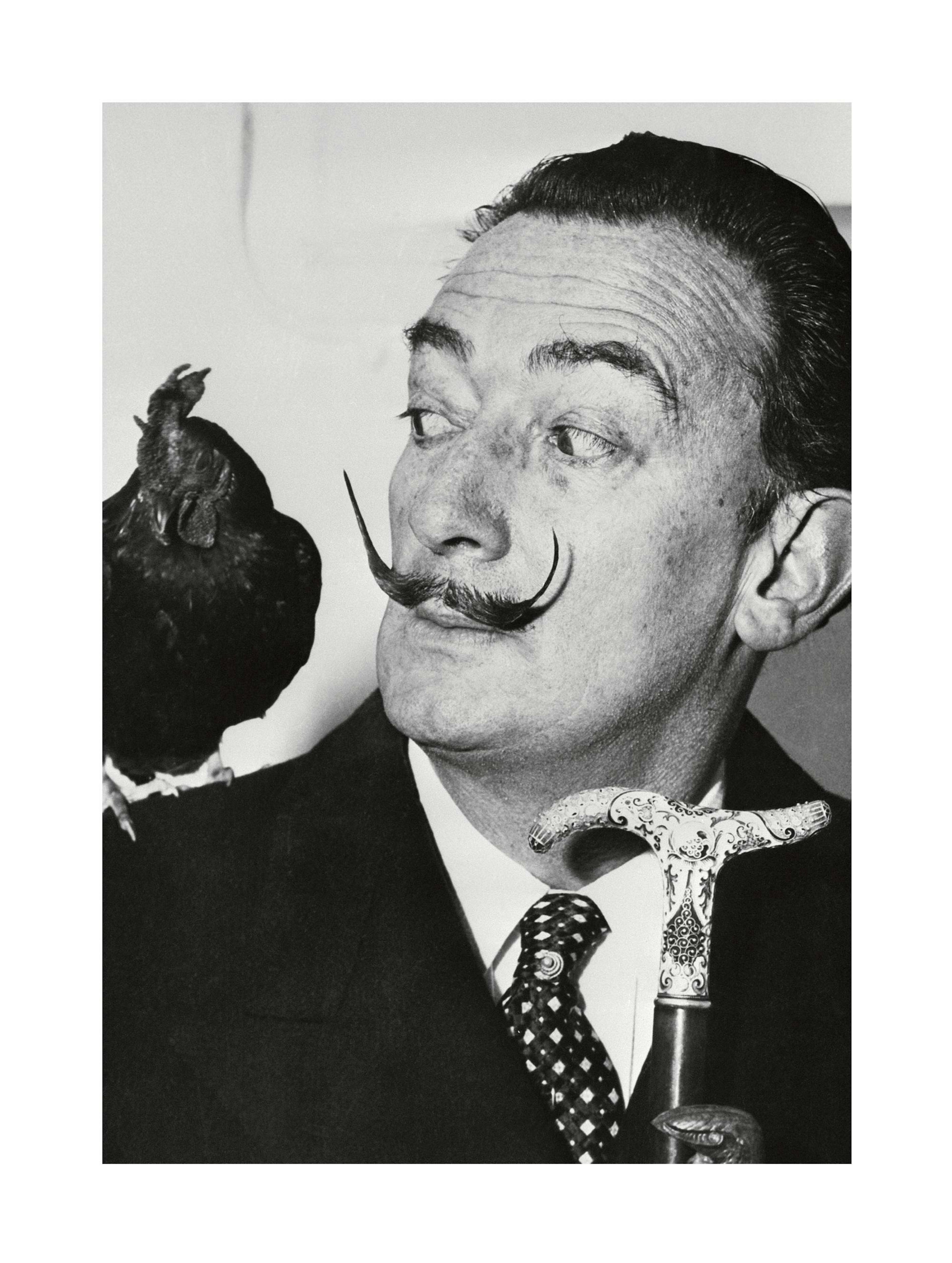 Salvador Dalí Print