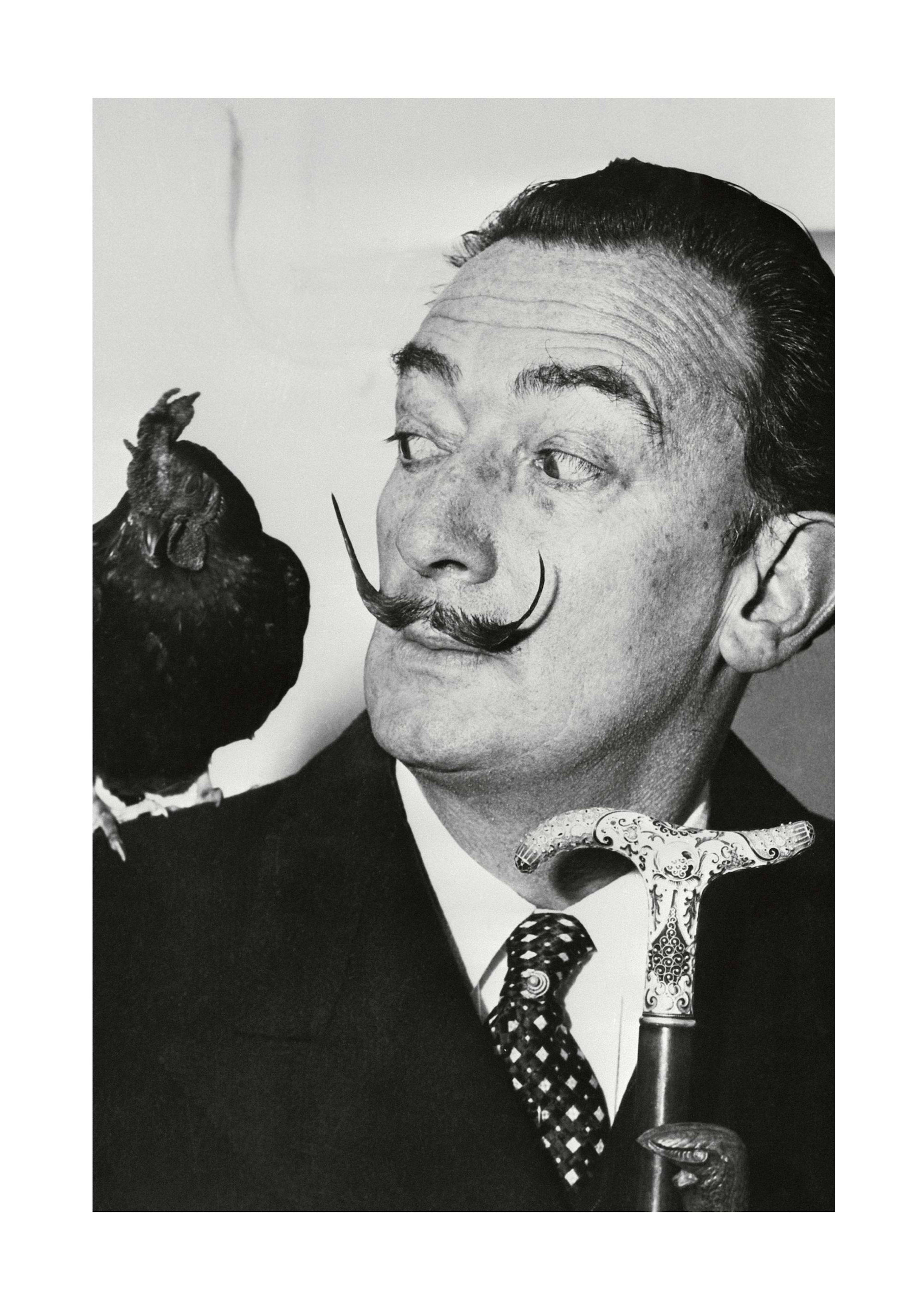 Salvador Dalí Plakát 0