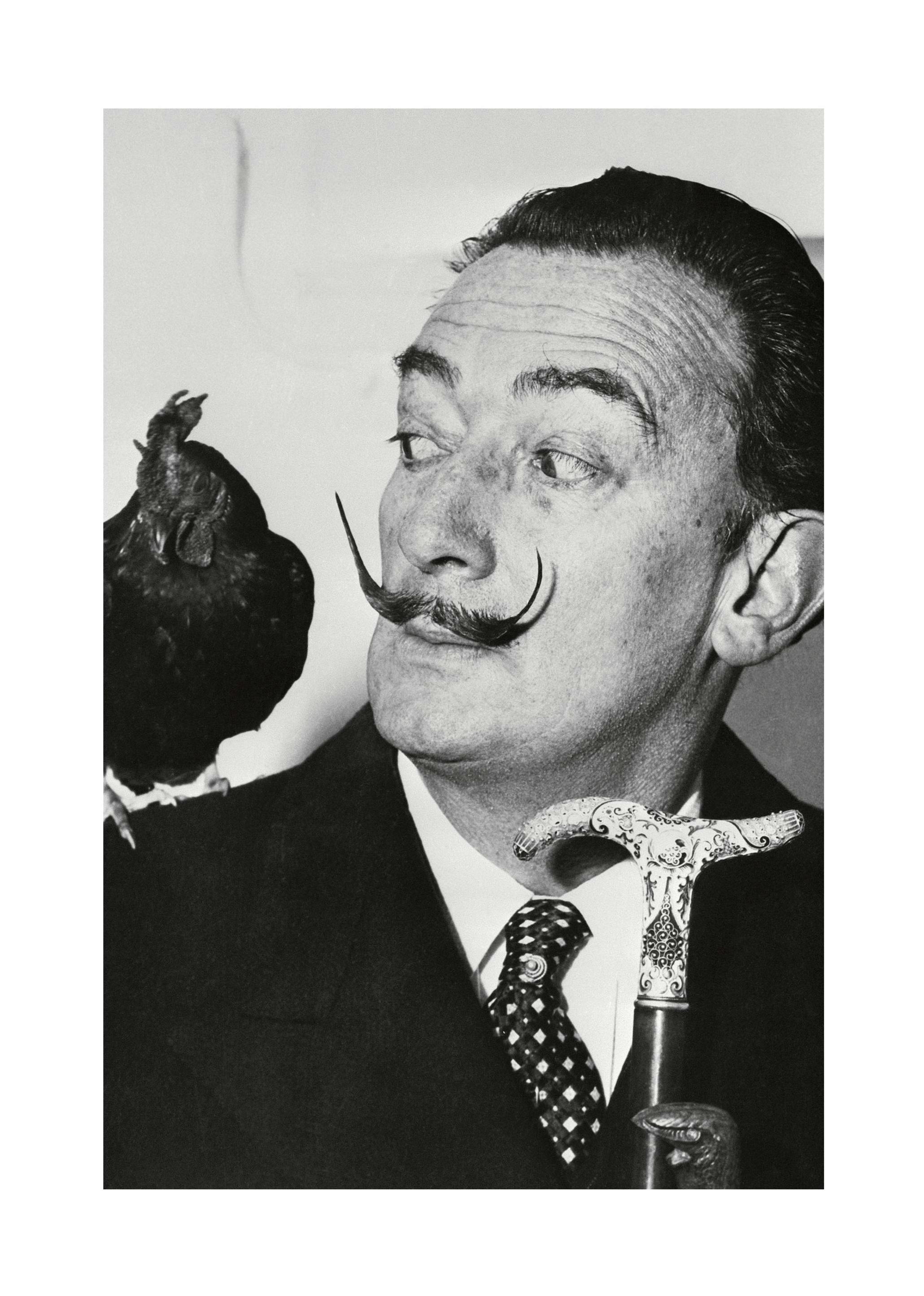 Salvador Dalí Poster (50x70 cm) -  Ikonische Fotografien