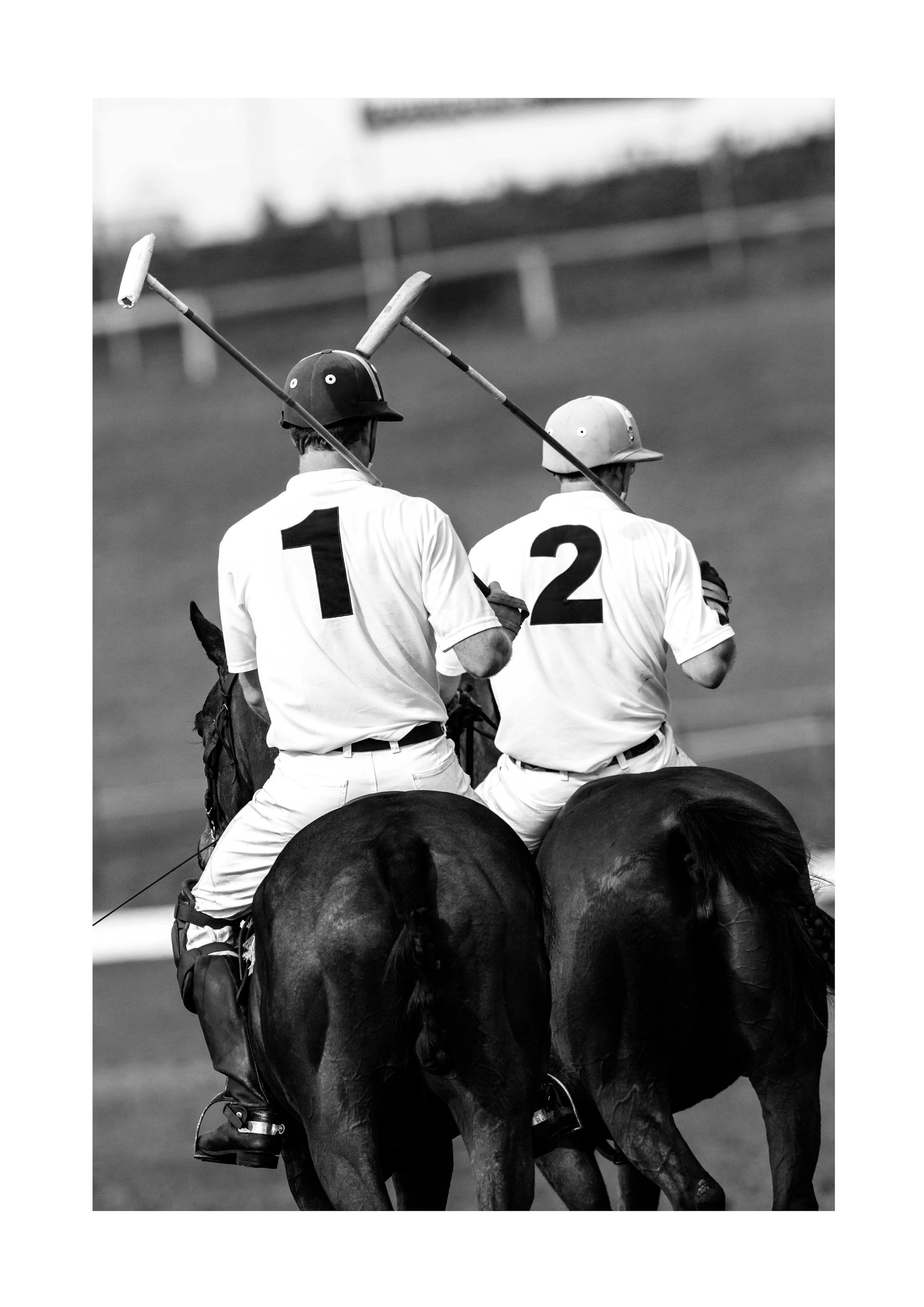 Polo Players Affiche 0