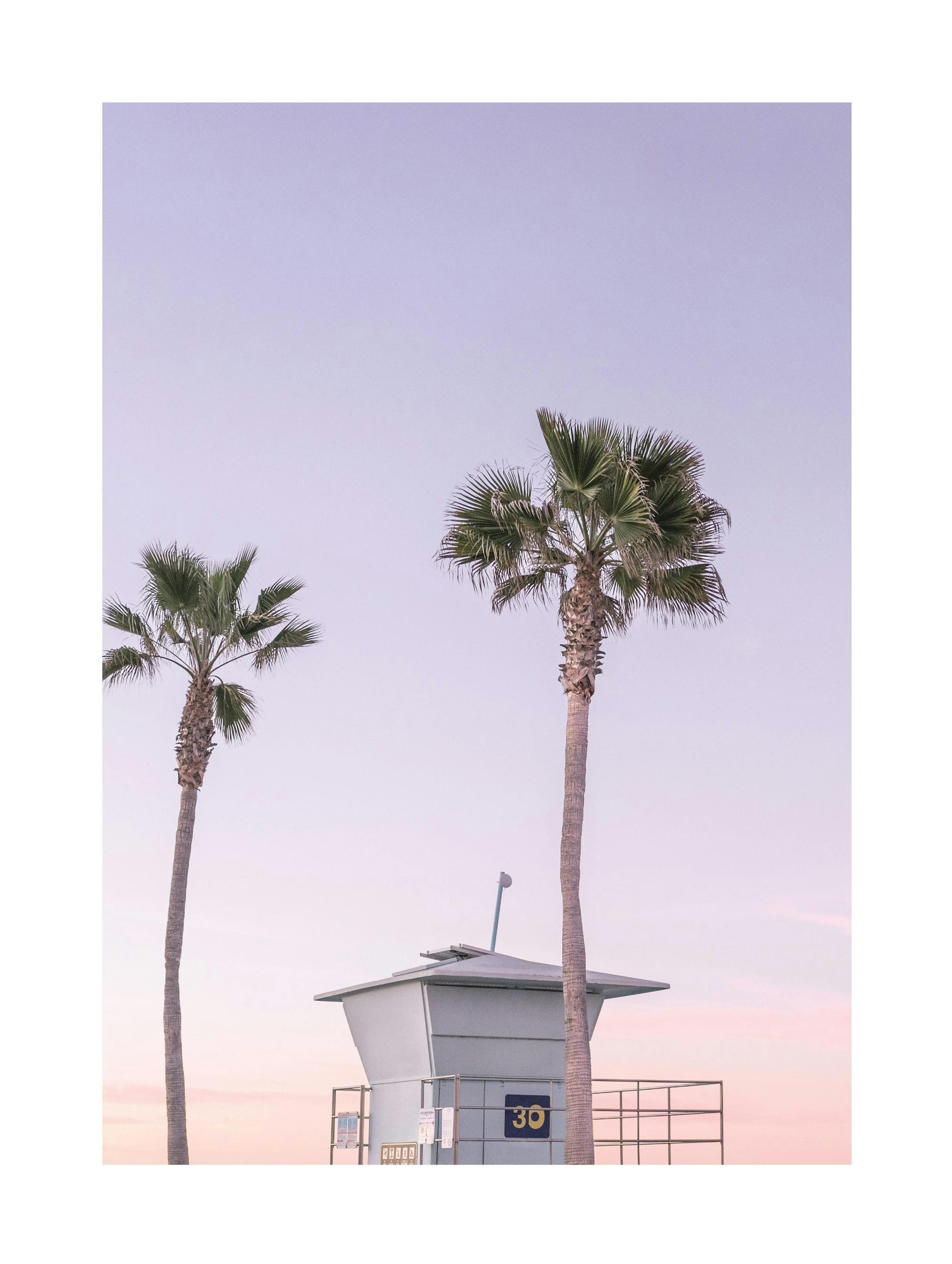 Purple Beach House Affiche