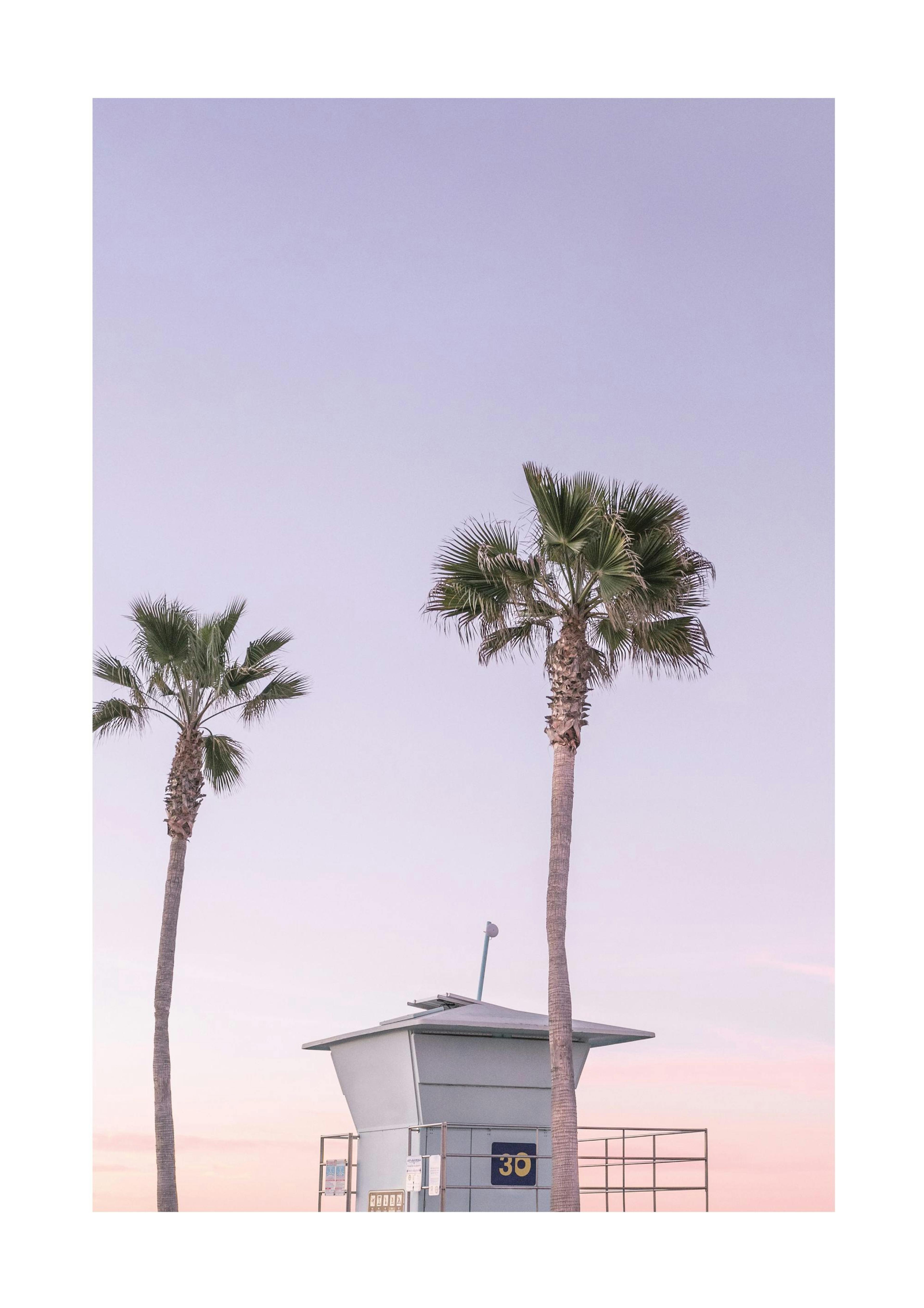 Purple Beach House Print 0
