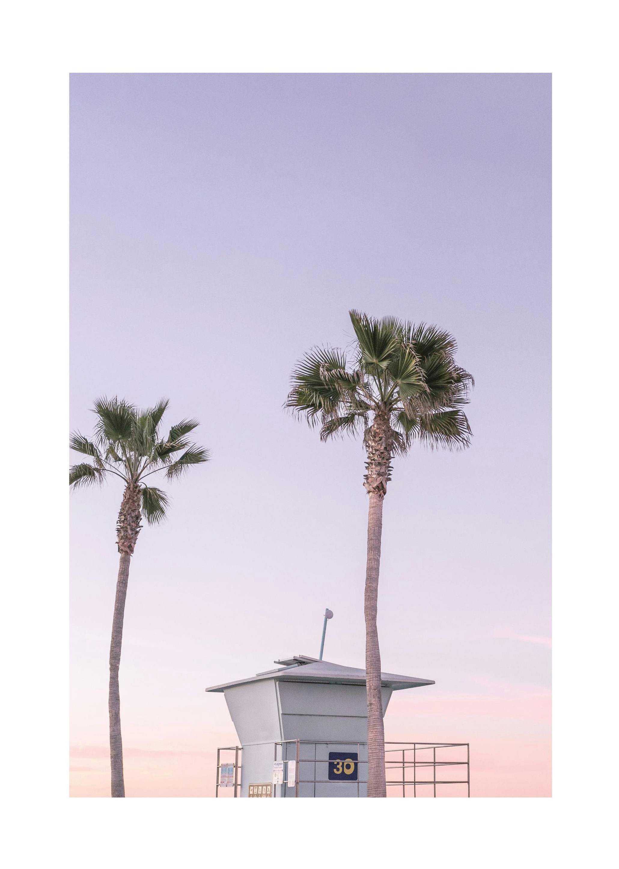 Purple Beach House Poster (30x40 cm)