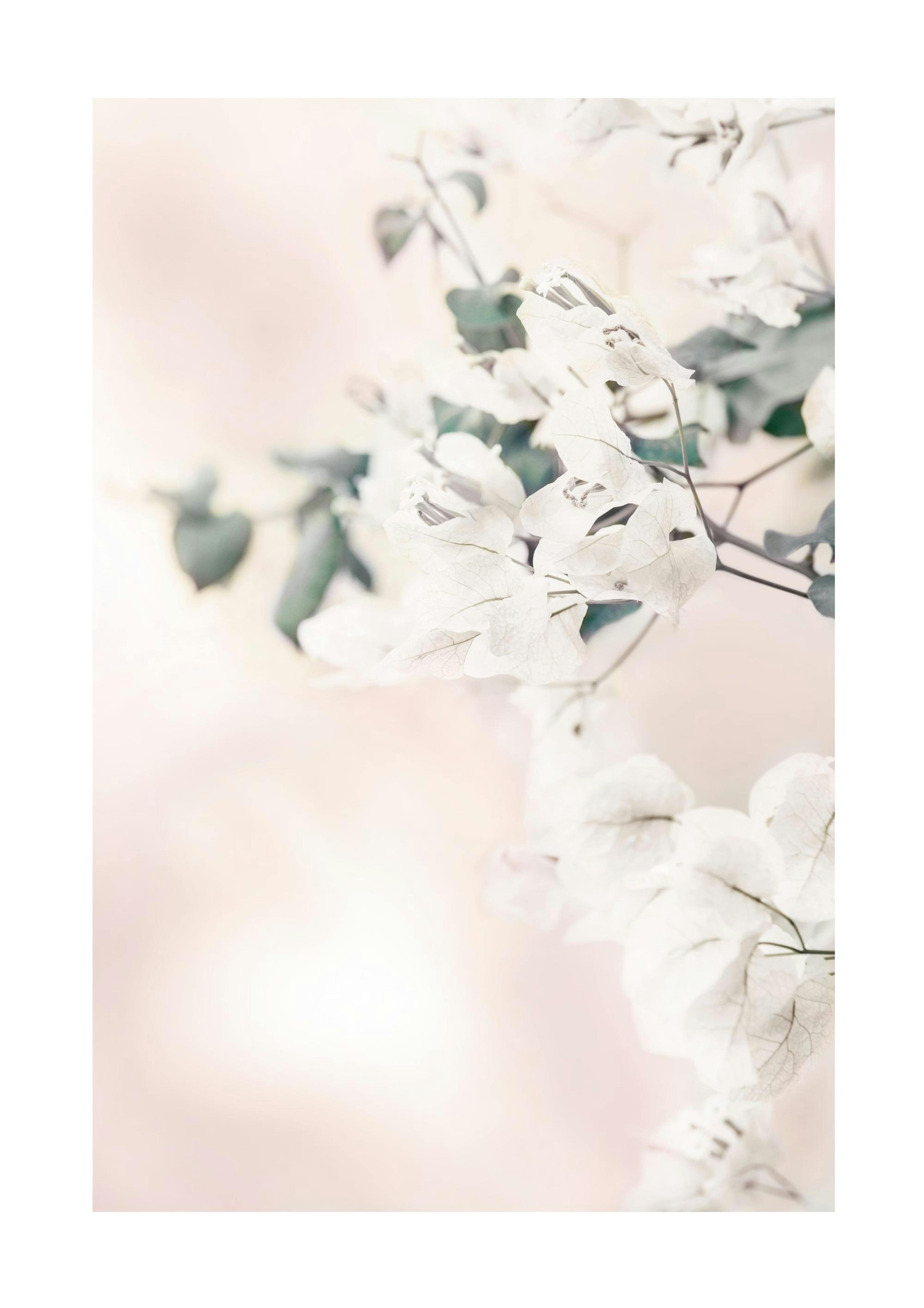 Bright Flowers Print 0
