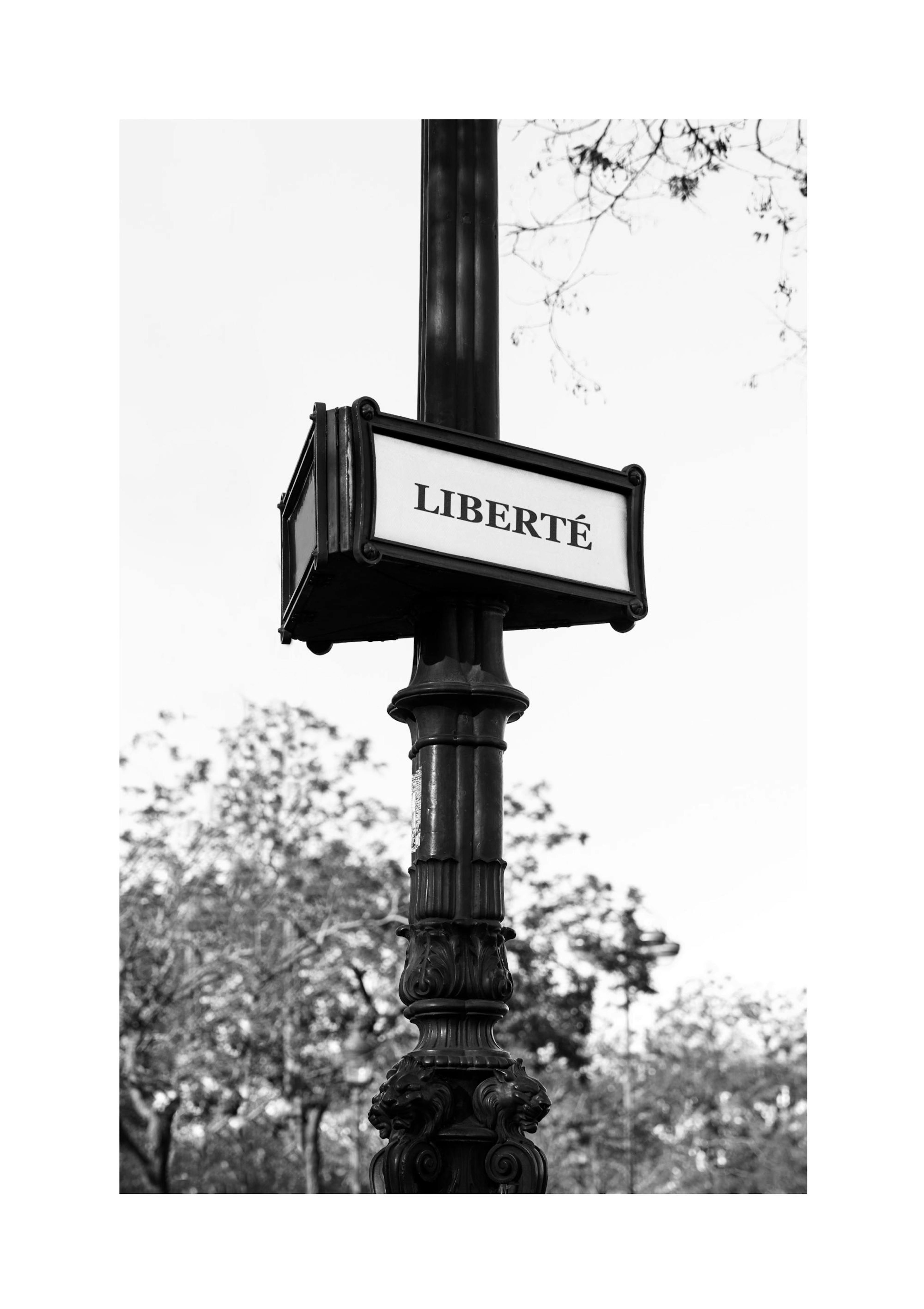 French Sign Plakát