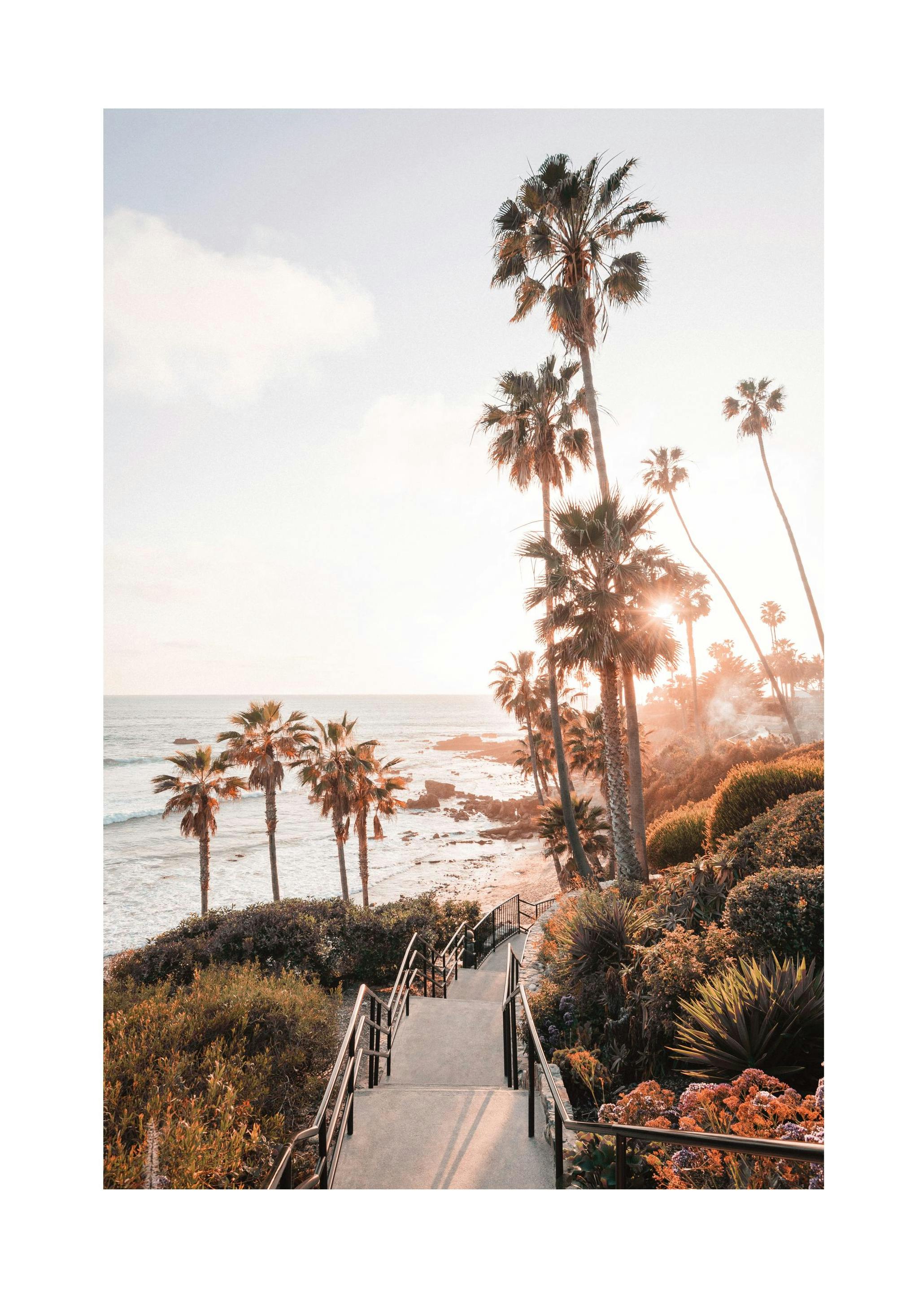 California Laguna Beach (40x50 cm)-Plakaty