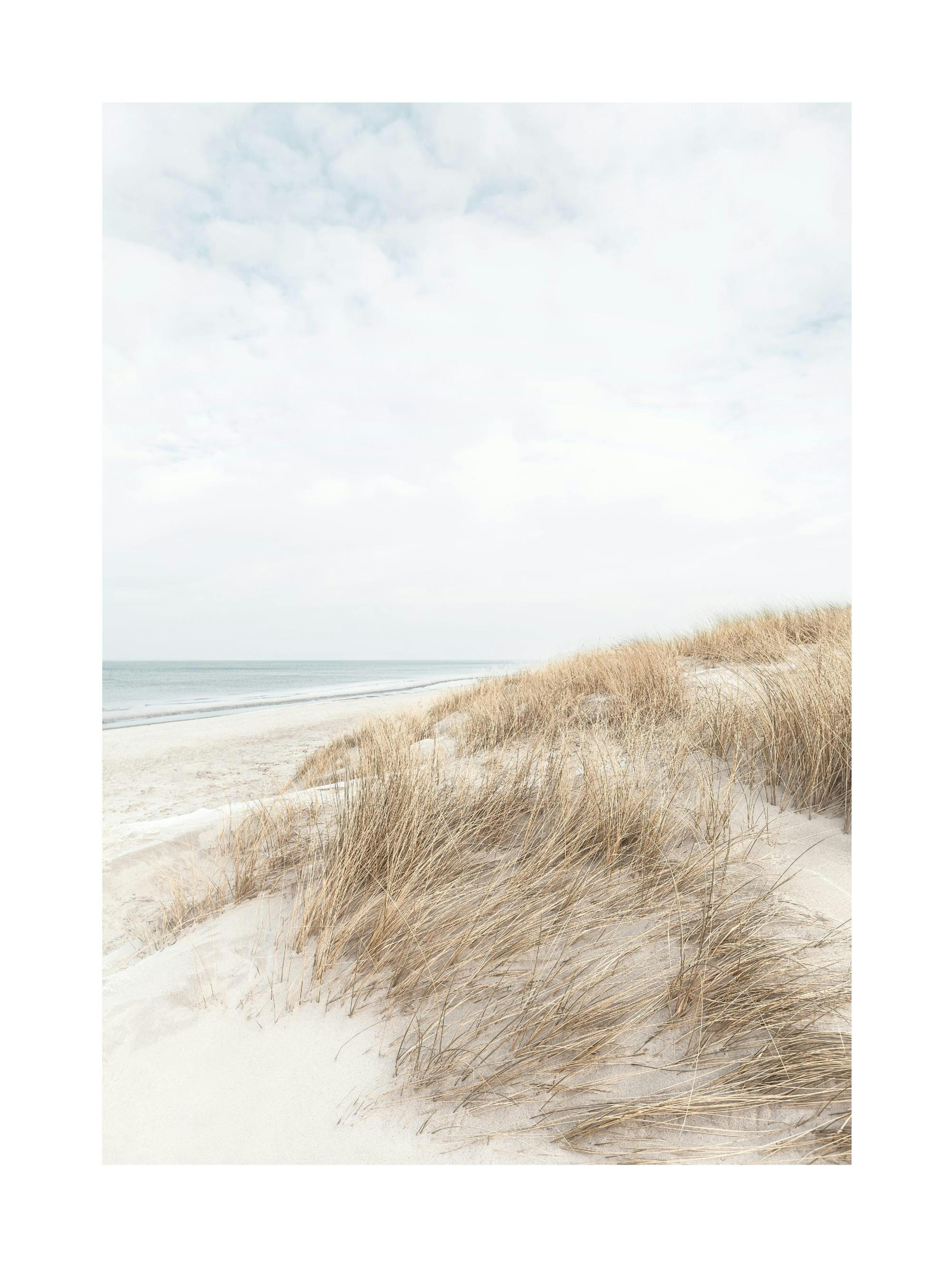 Cape Cod Dunes Print