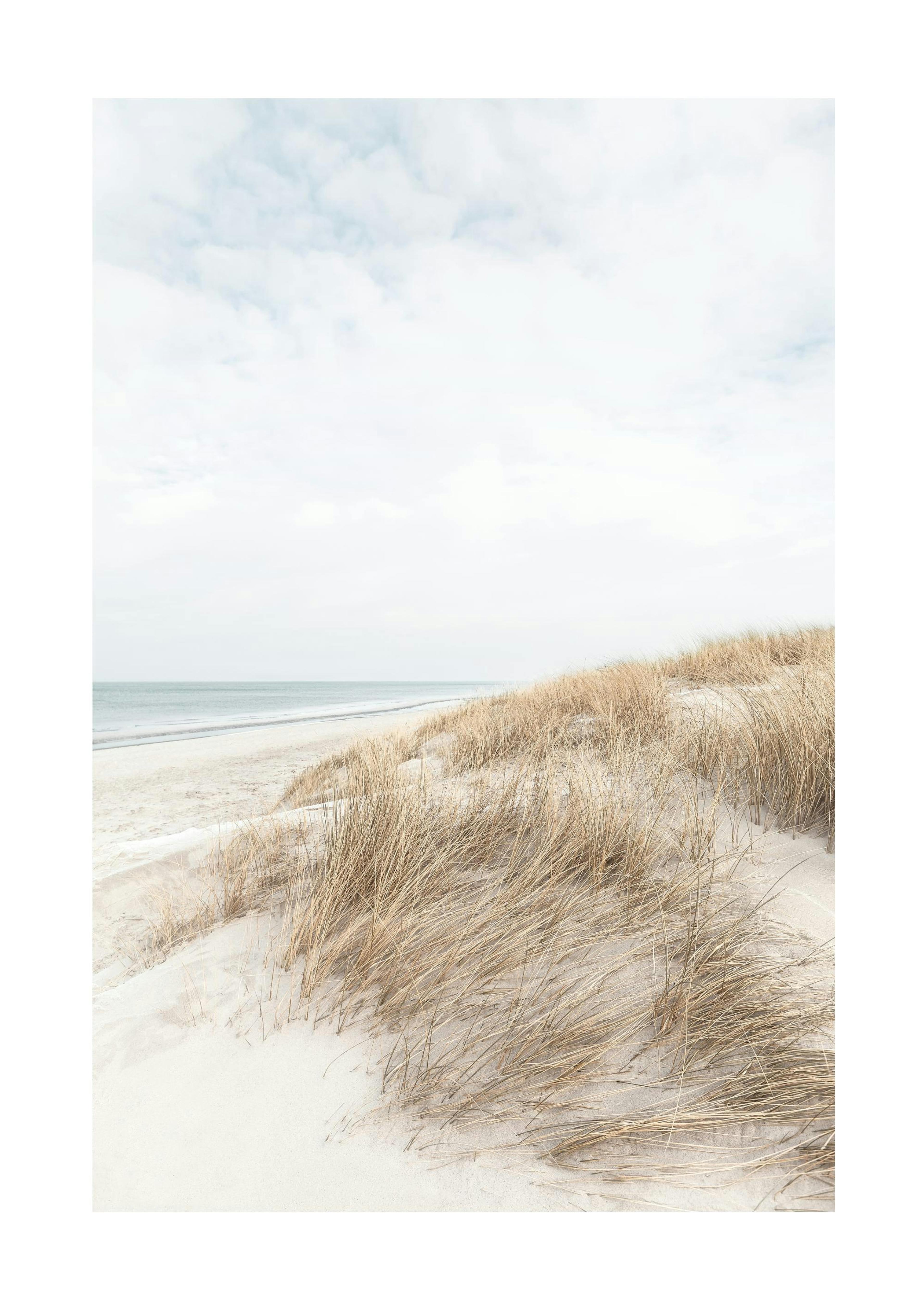 Cape Cod Dunes Print 0