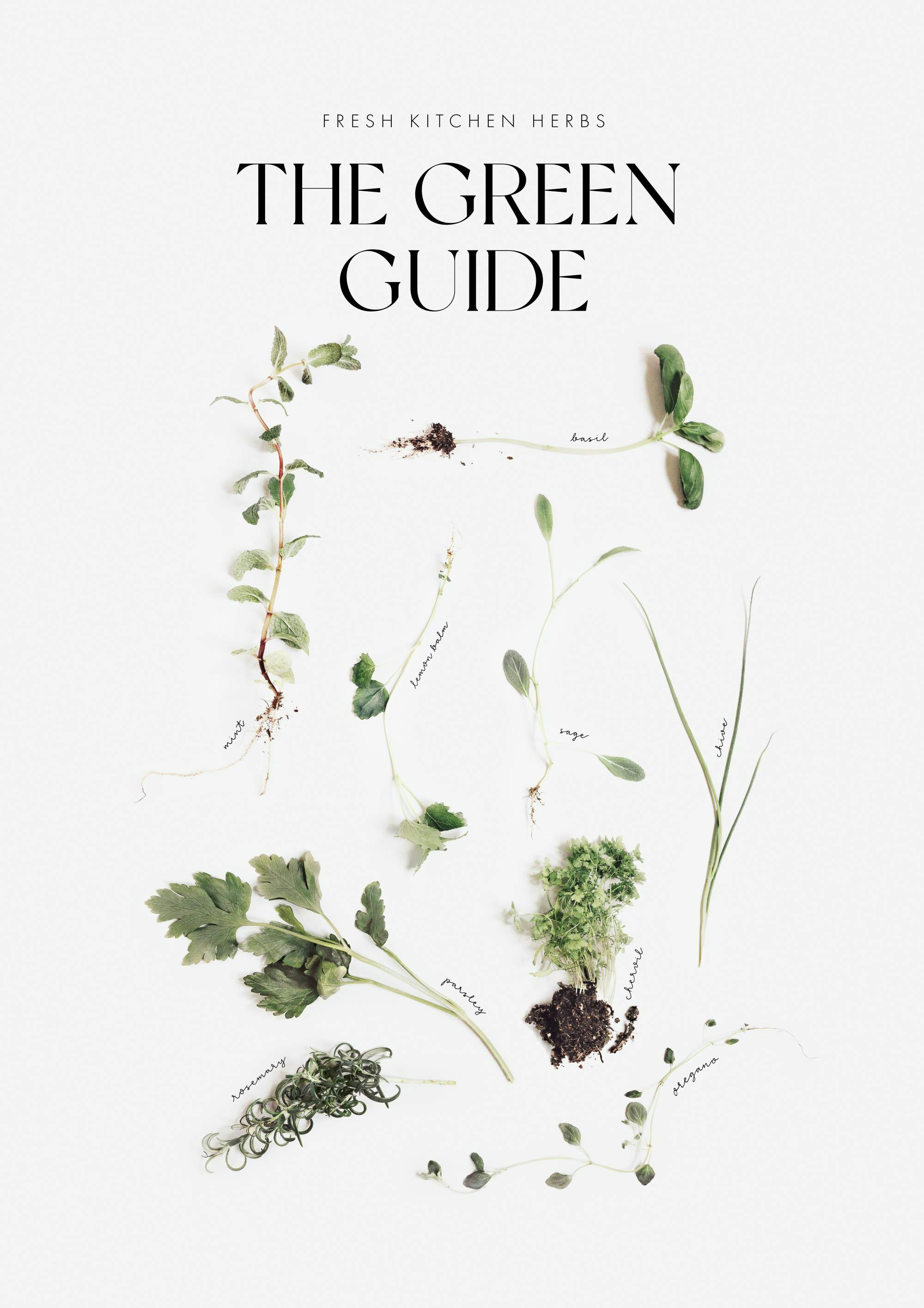 The Green Guide Affiche 0