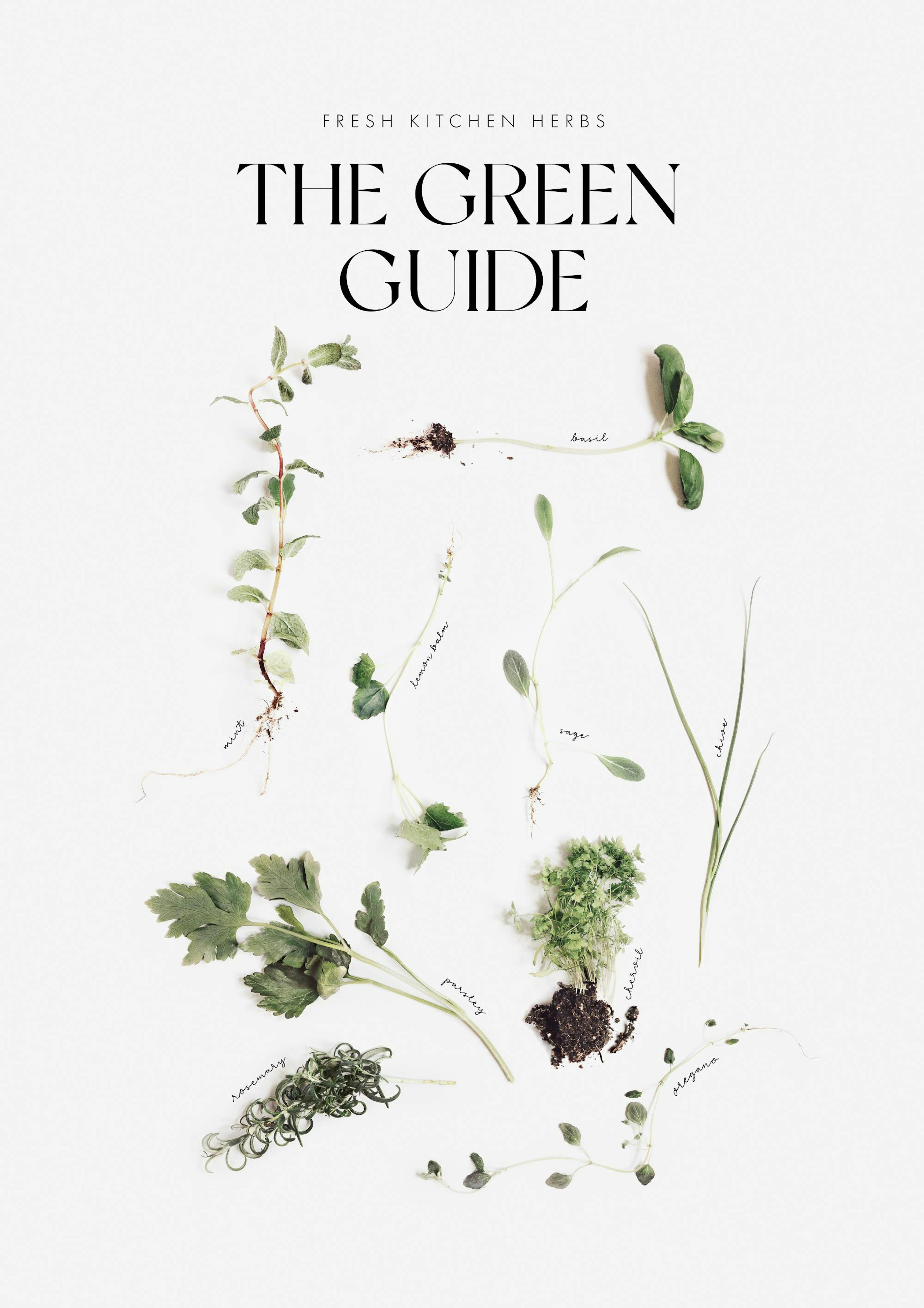 The Green Guide Plakat 0