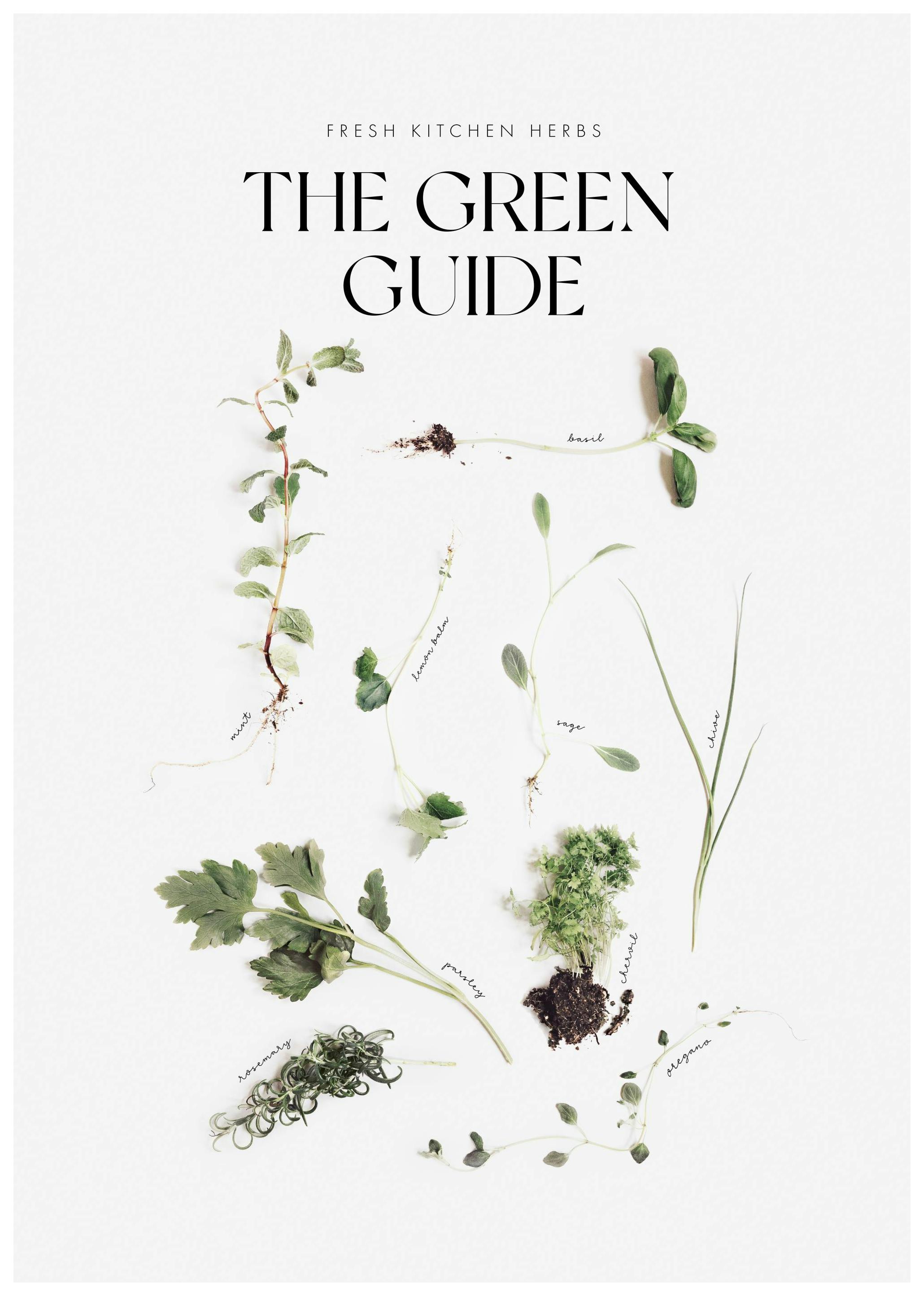 The Green Guide Plakat (30x40 cm)- Jedzenie