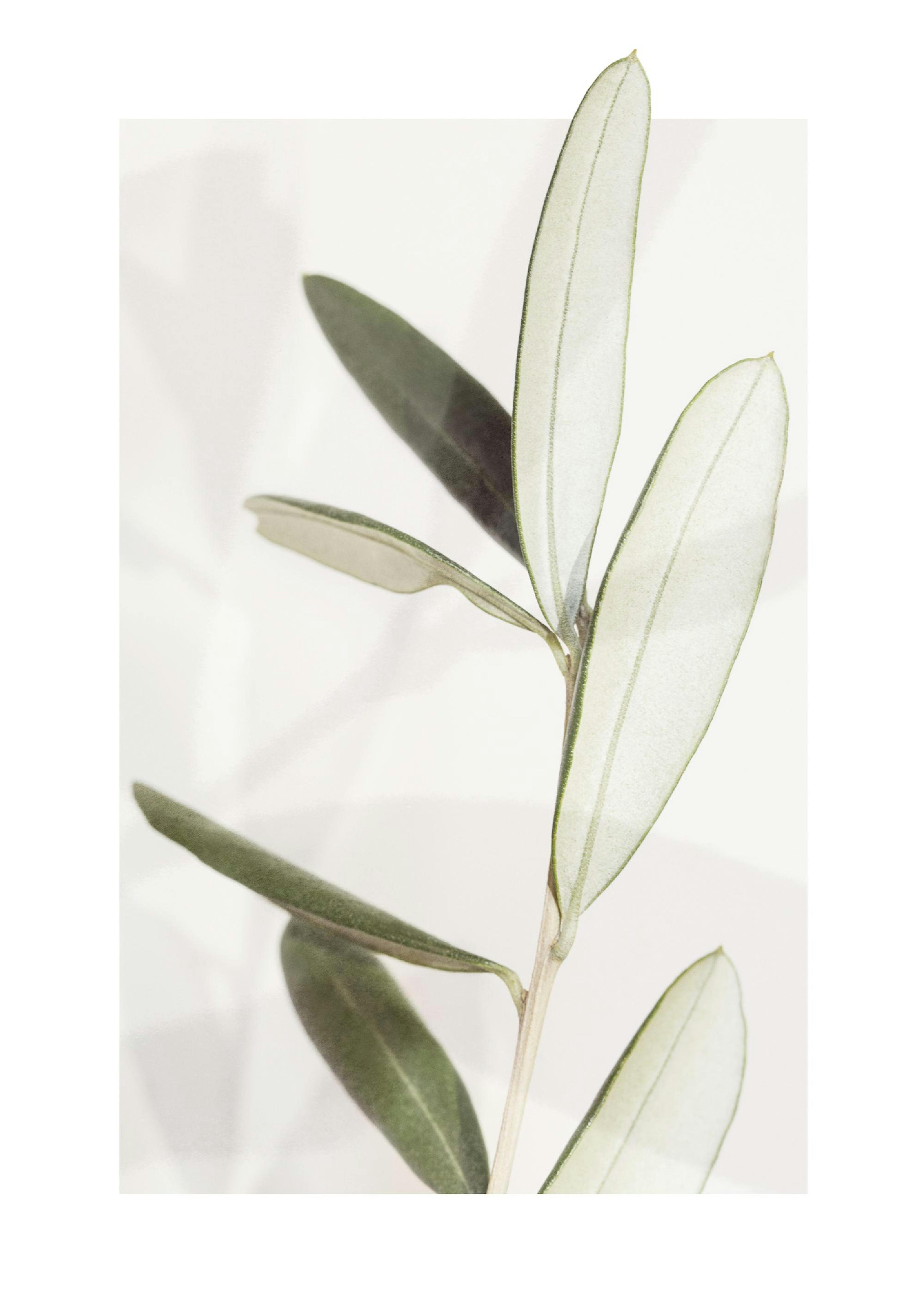 Product image: 1
