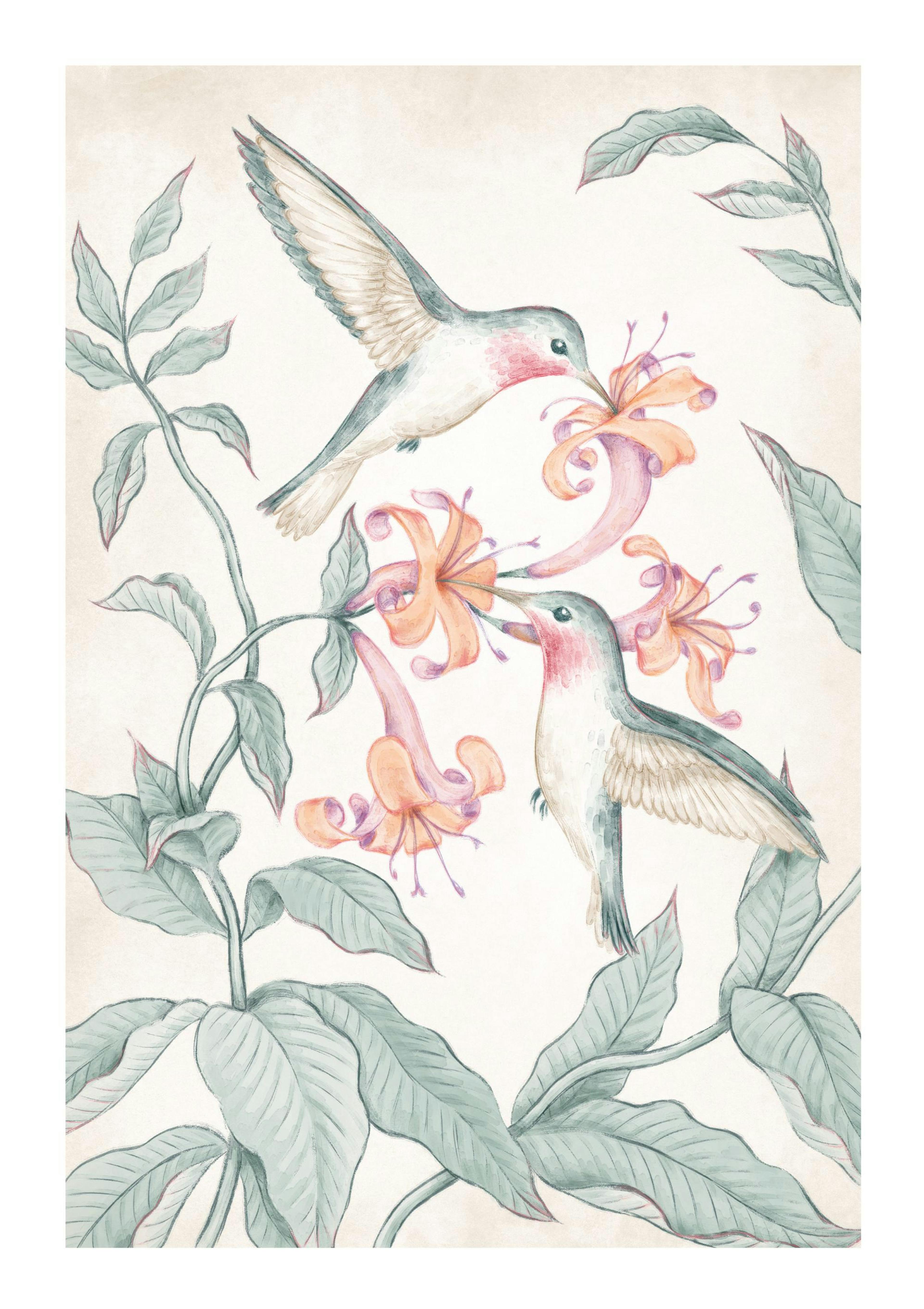 Hummingbirds Painting Print