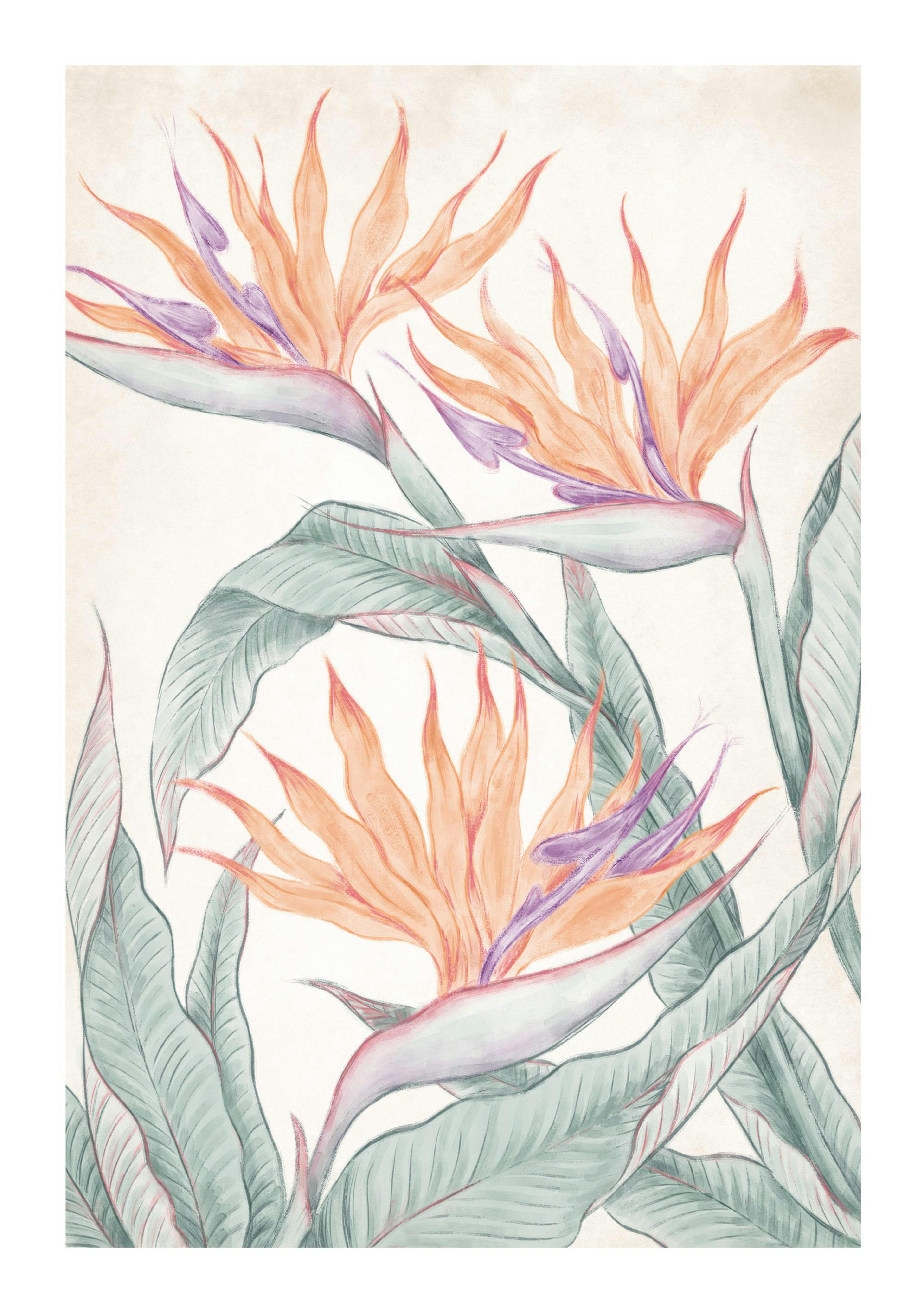 Birds of Paradise Painting Print