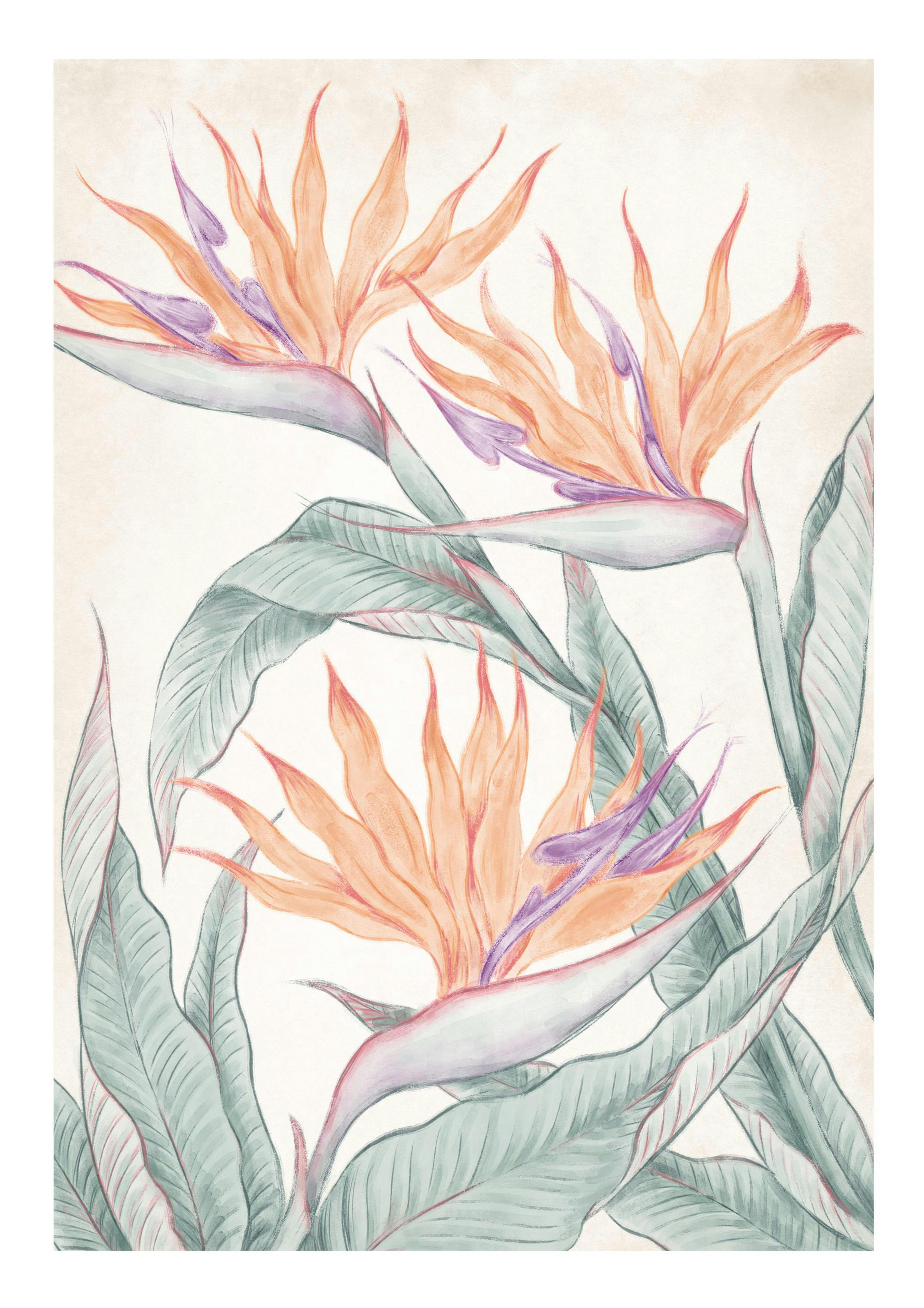 Birds of Paradise Painting Poster 0