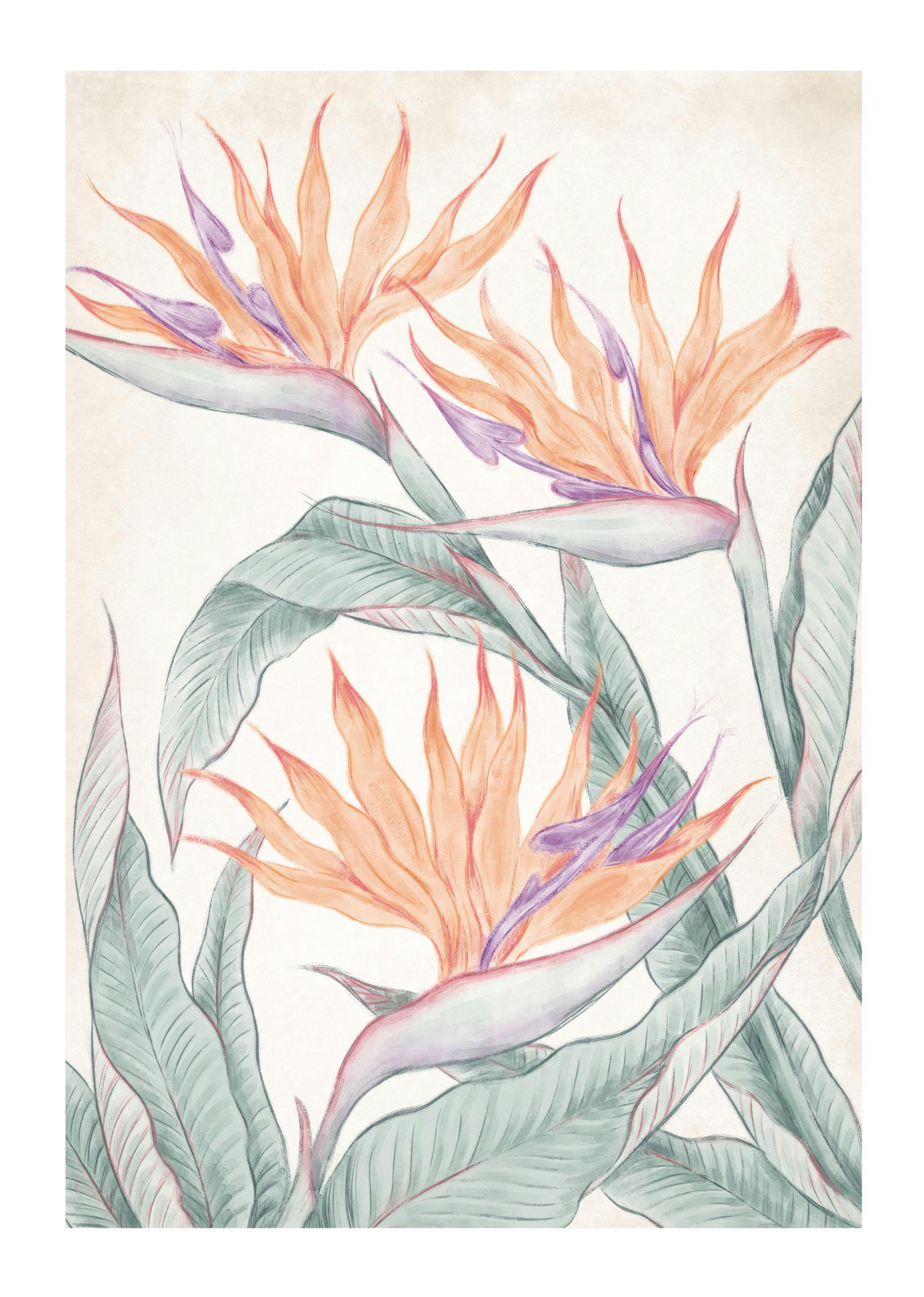 Birds of Paradise Painting Poster (21x30 cm) -  Aquarelle