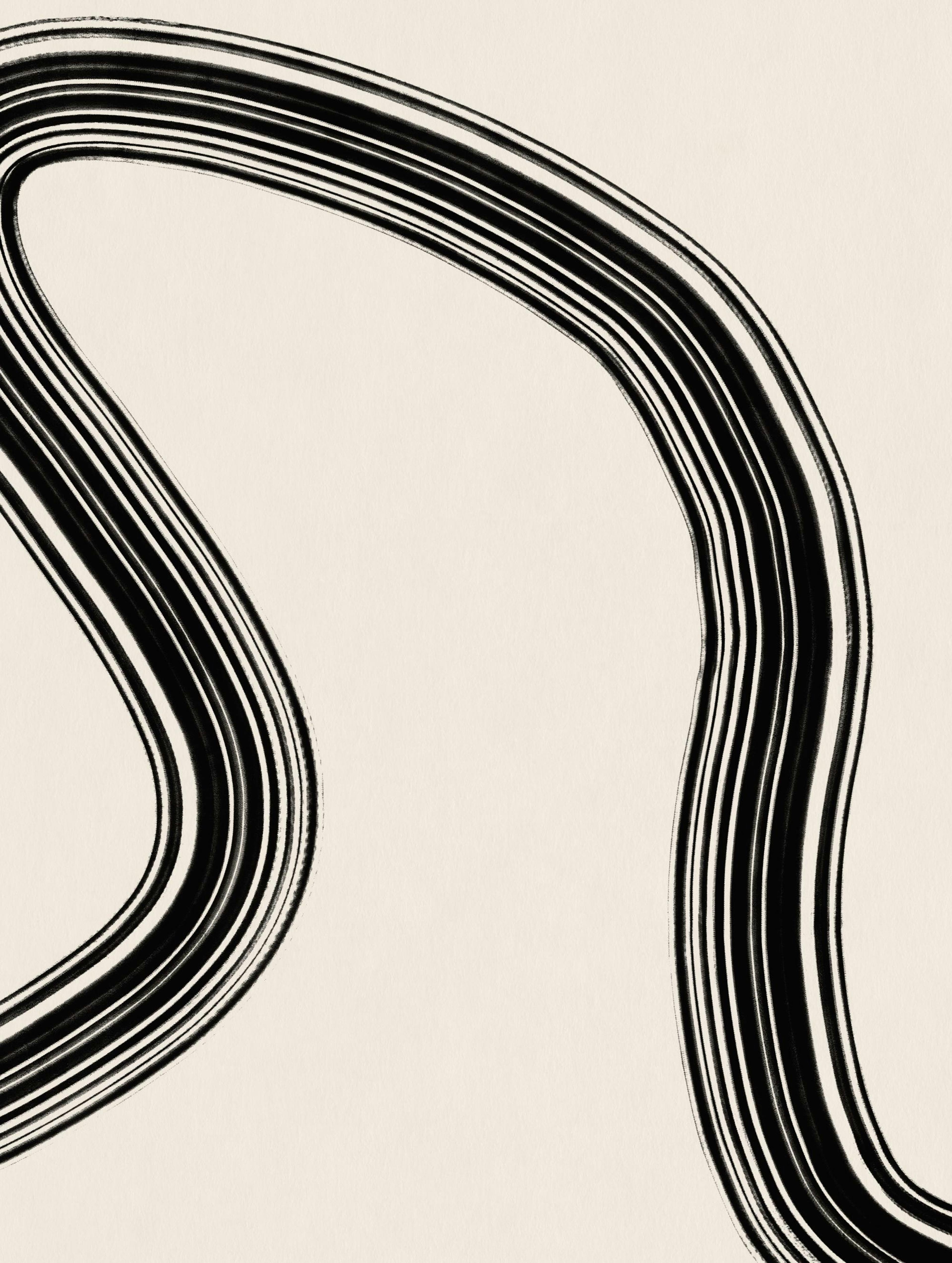 Black Curve No2 Affiche