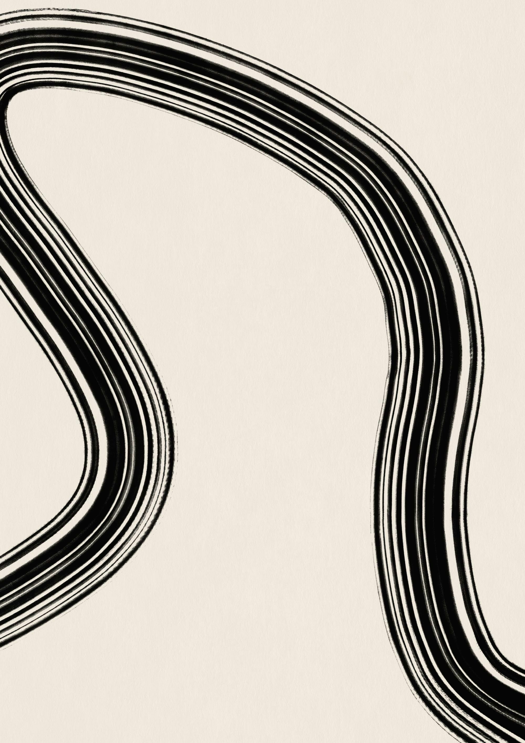Black Curve No2 Affiche 0
