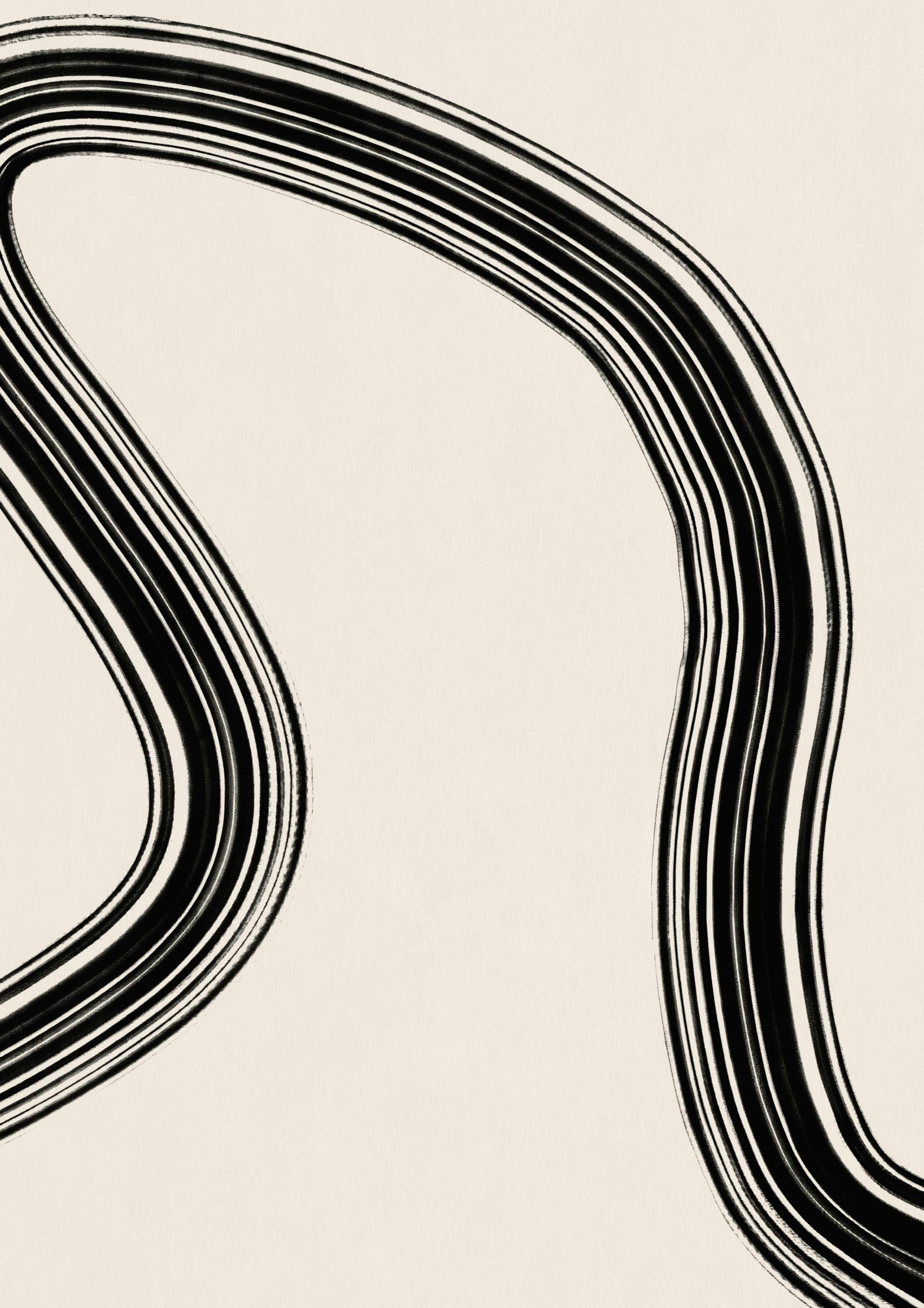 Black Curve No2 Poster 0